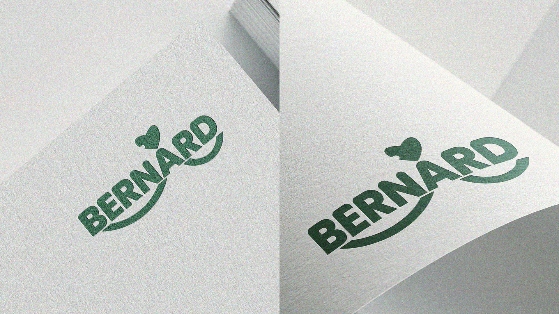 Bernard | Фирменный стиль — Изображение №14 — Брендинг, Графика на Dprofile