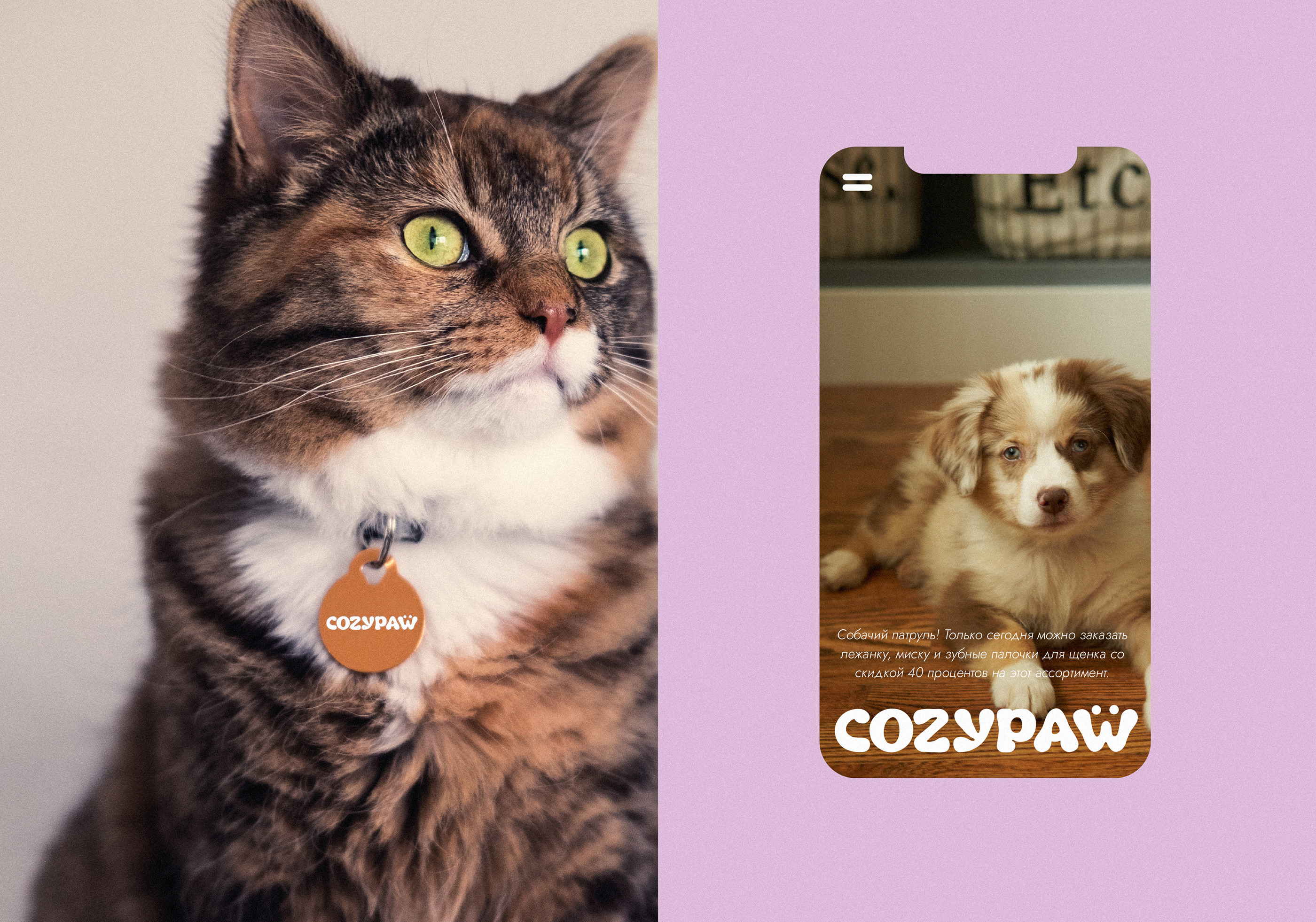 COZYPAW | Логотип, брендинг зоомагазина — Изображение №6 — Брендинг, Графика на Dprofile