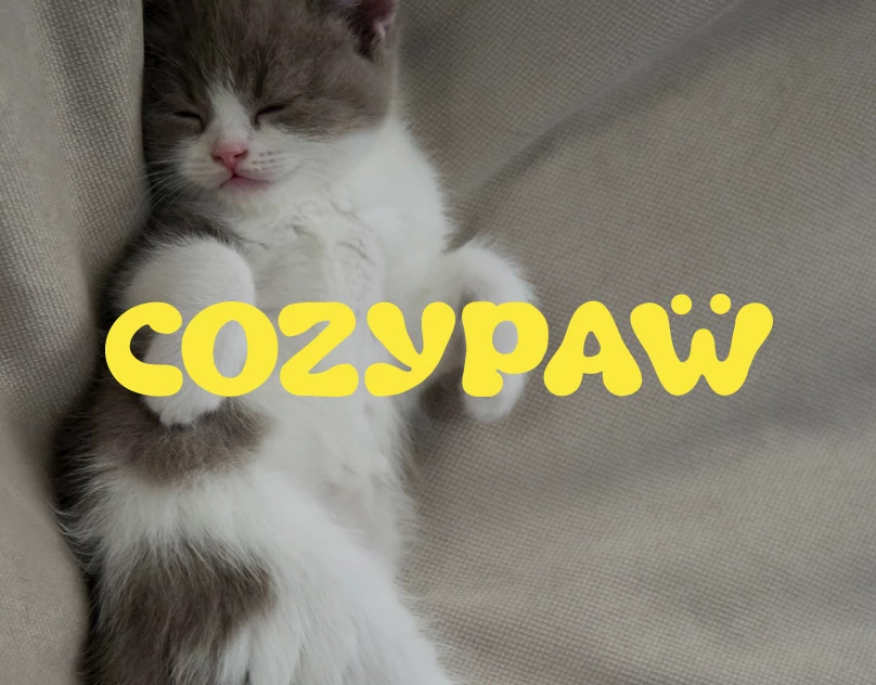 COZYPAW | Логотип, брендинг зоомагазина — Брендинг, Графика на Dprofile