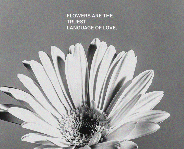 Butonica | Flower studio — Брендинг на Dprofile