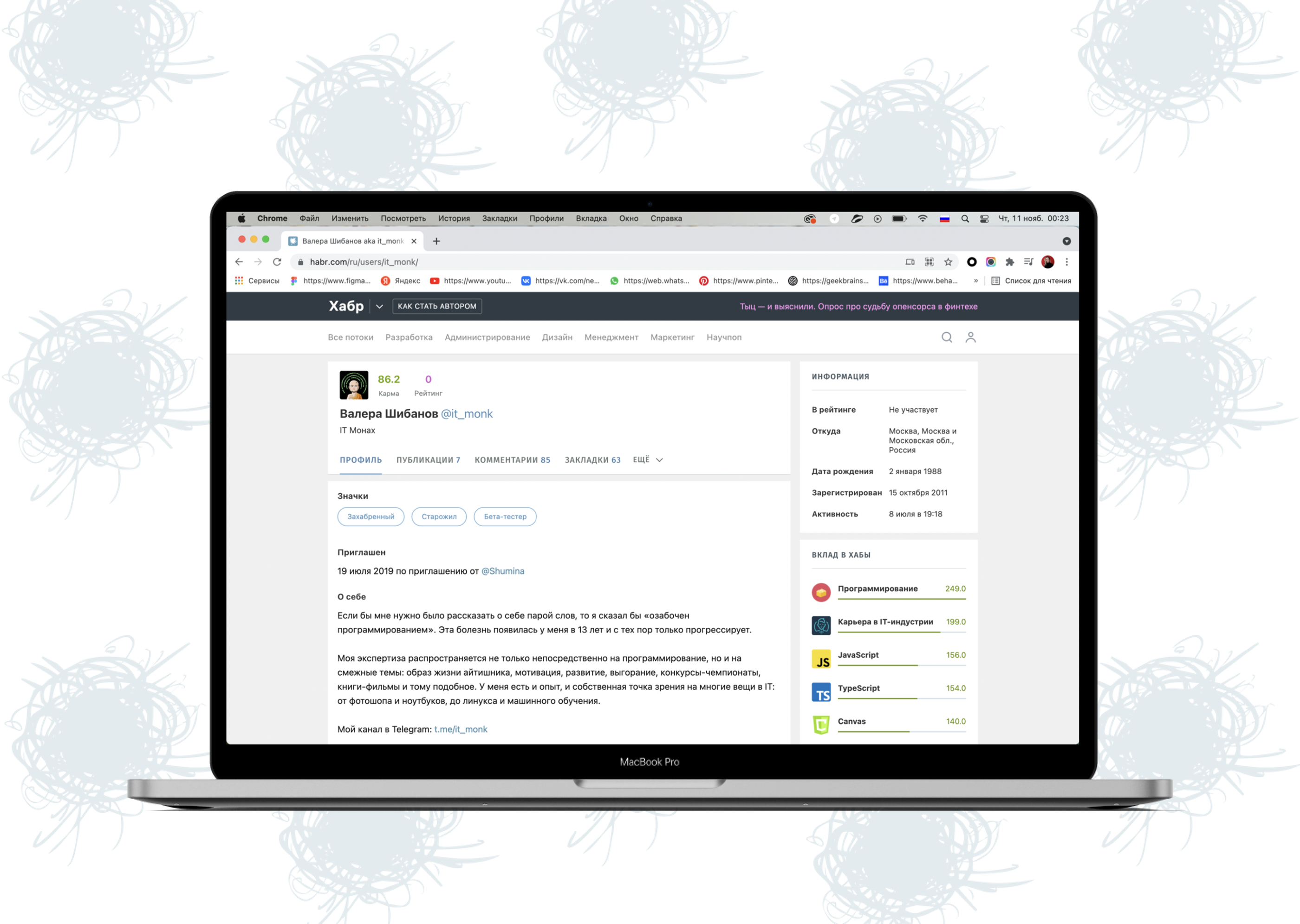 A visual image for the programmer's personal brand — Изображение №3 — Иллюстрация, Графика на Dprofile