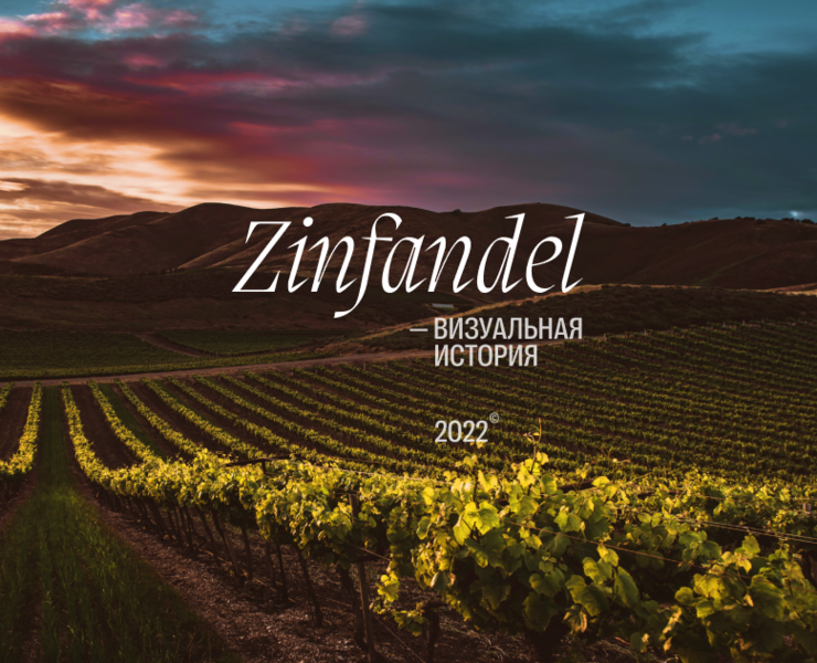 Zinfandel. Невероятные приключения одного сорта — Интерфейсы, Анимация на Dprofile