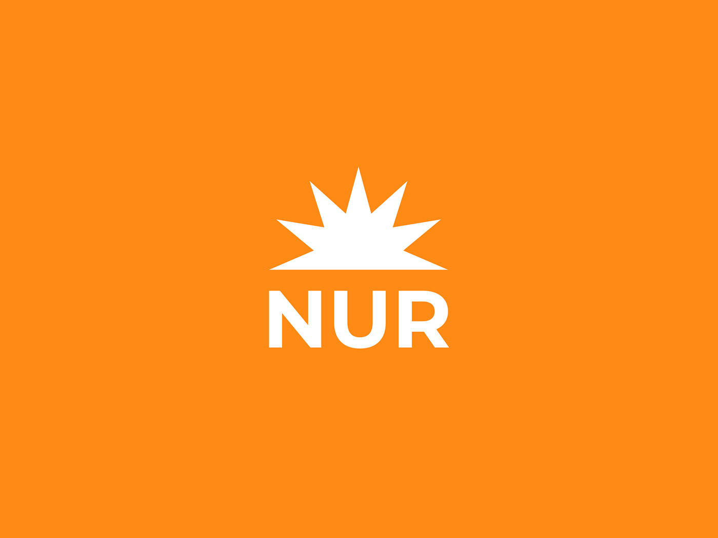 NUR Foundation — Изображение №9 — Брендинг на Dprofile