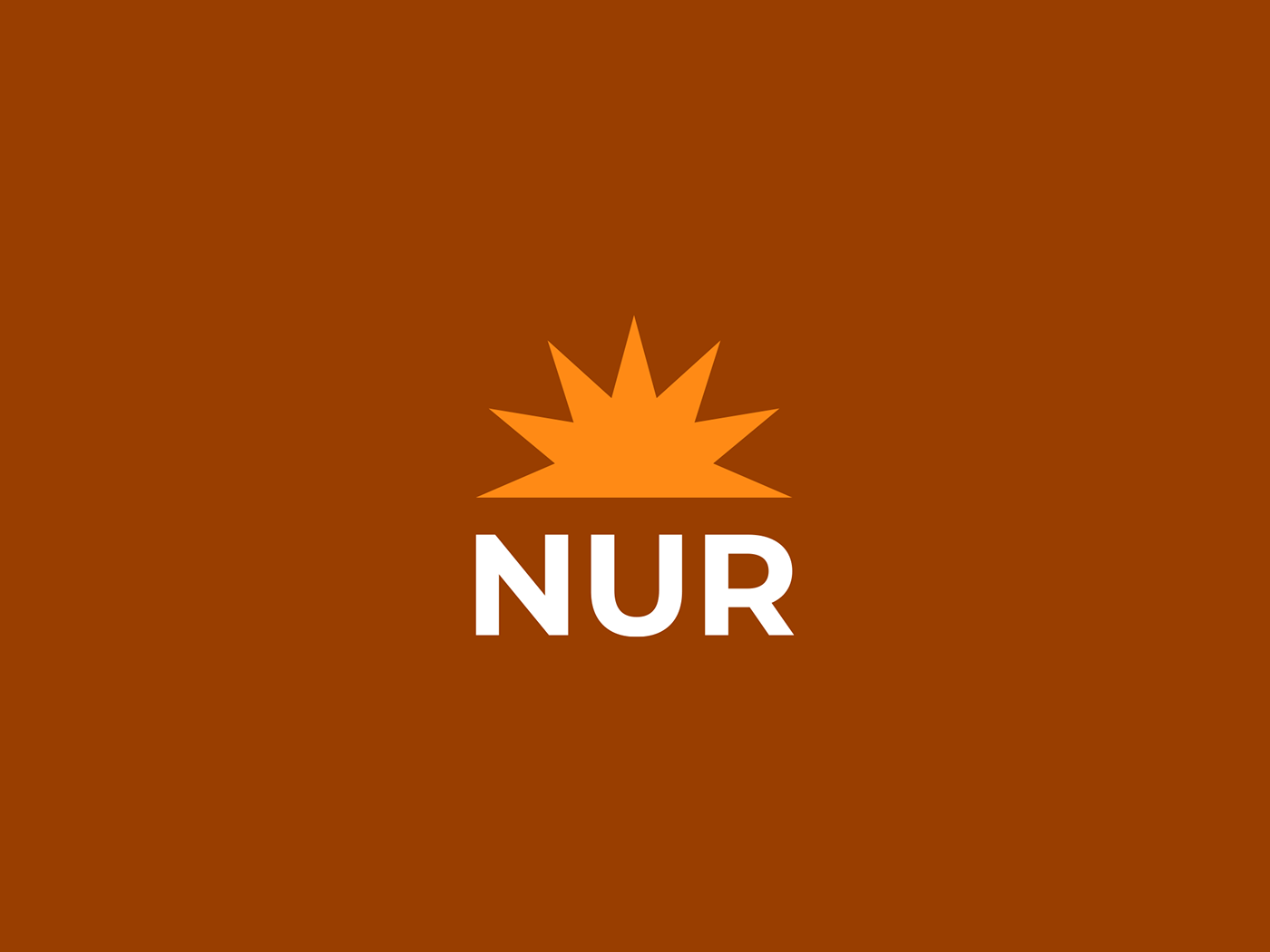 NUR Foundation — Изображение №7 — Брендинг на Dprofile