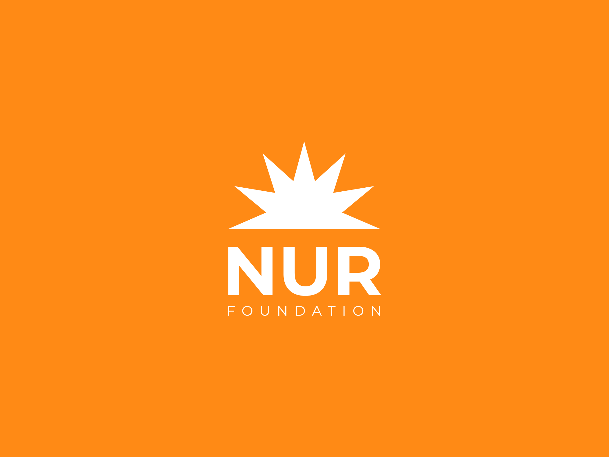 NUR Foundation — Изображение №6 — Брендинг на Dprofile
