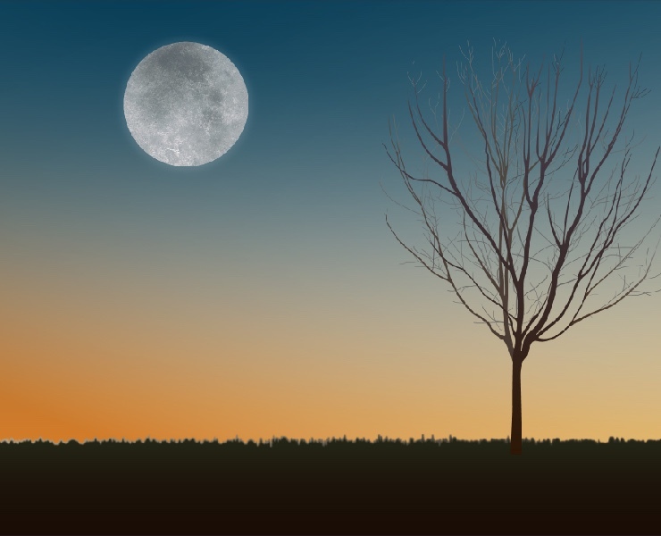 Adobe Illustrator — Иллюстрация на Dprofile