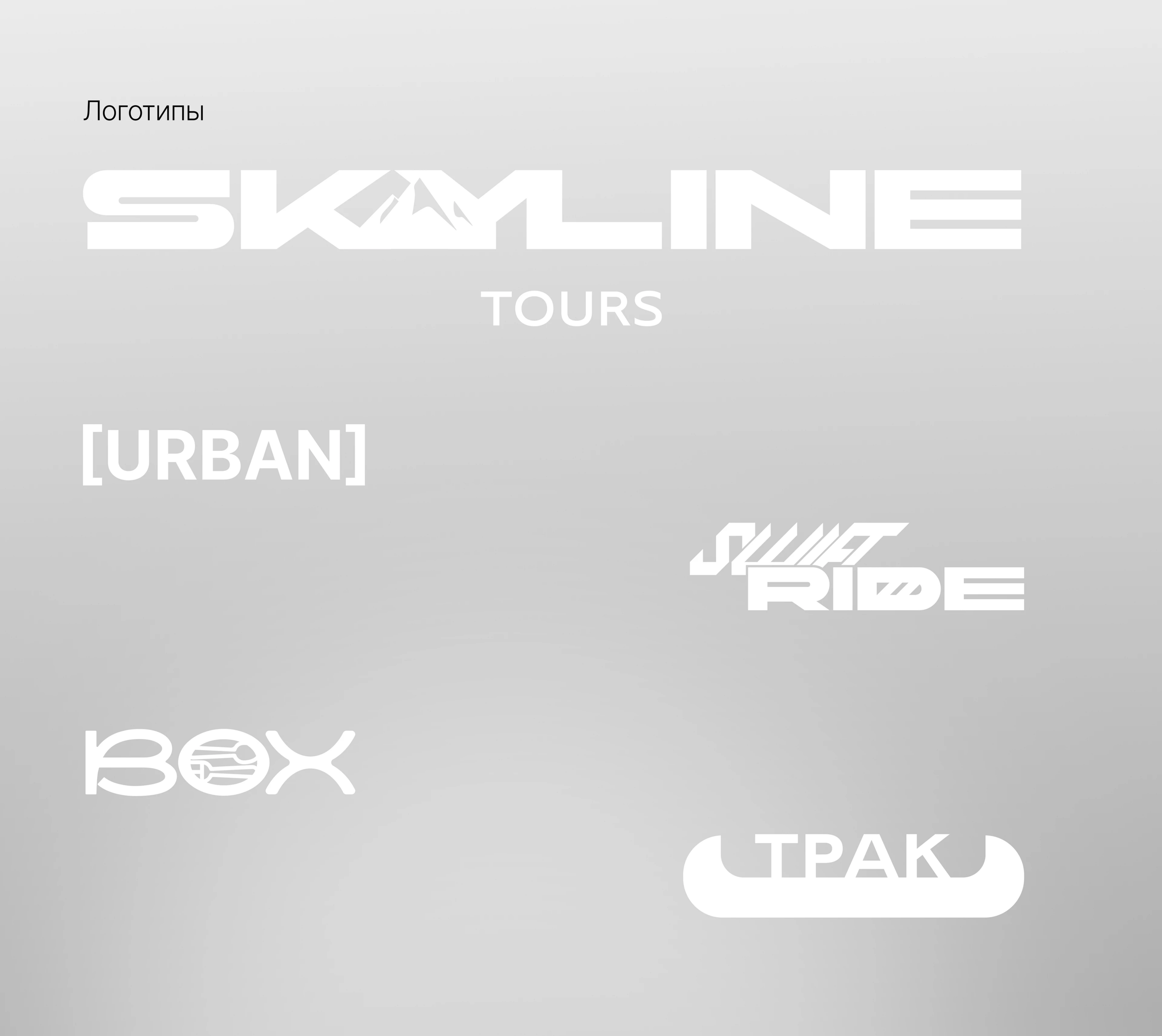 Портфолио дизайнера — Изображение №4 — Брендинг на Dprofile