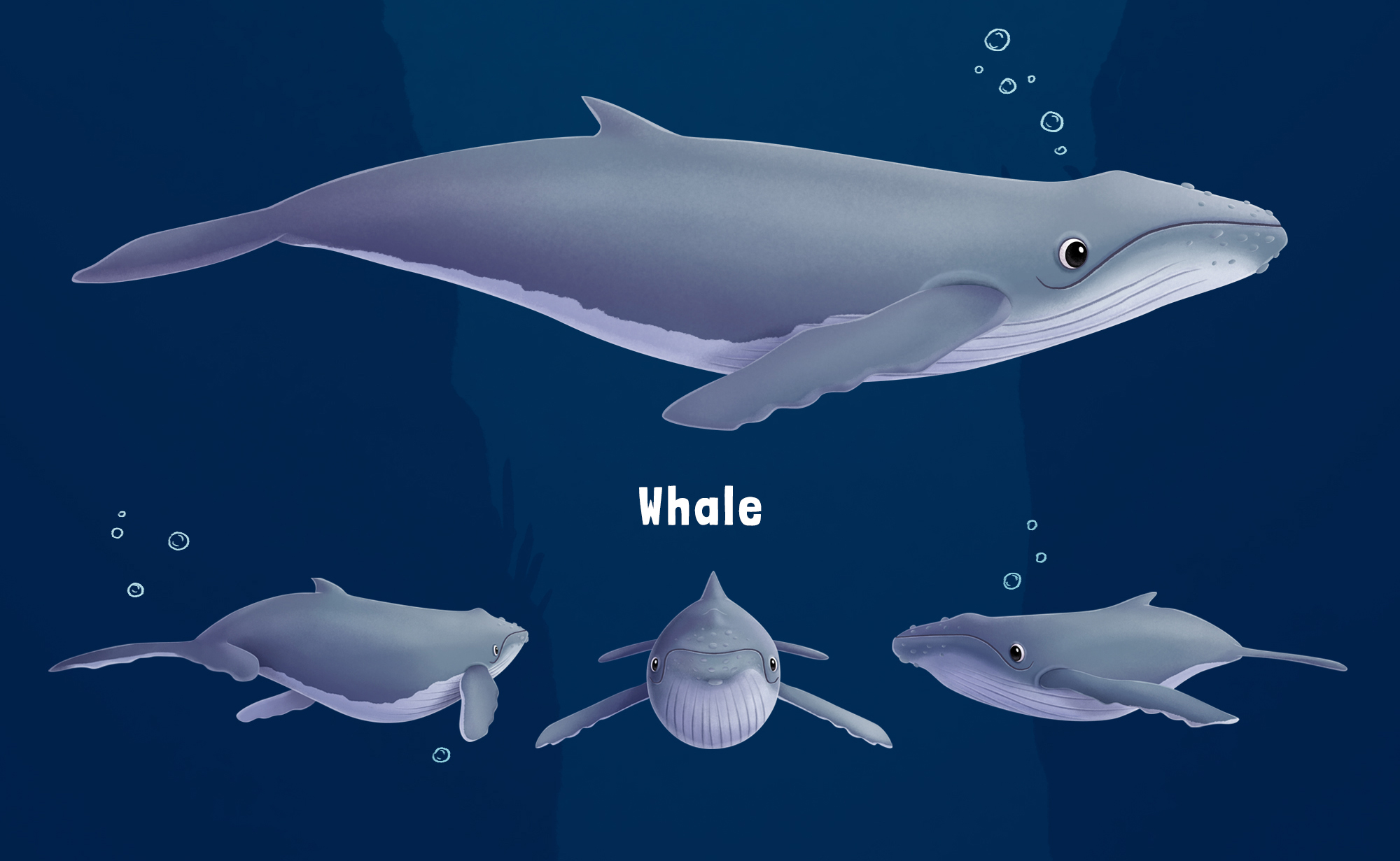 Sea animals concept art — Изображение №7 — Иллюстрация на Dprofile