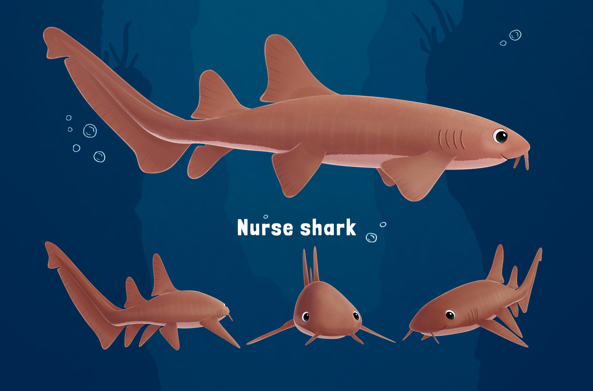 Sea animals concept art — Изображение №6 — Иллюстрация на Dprofile