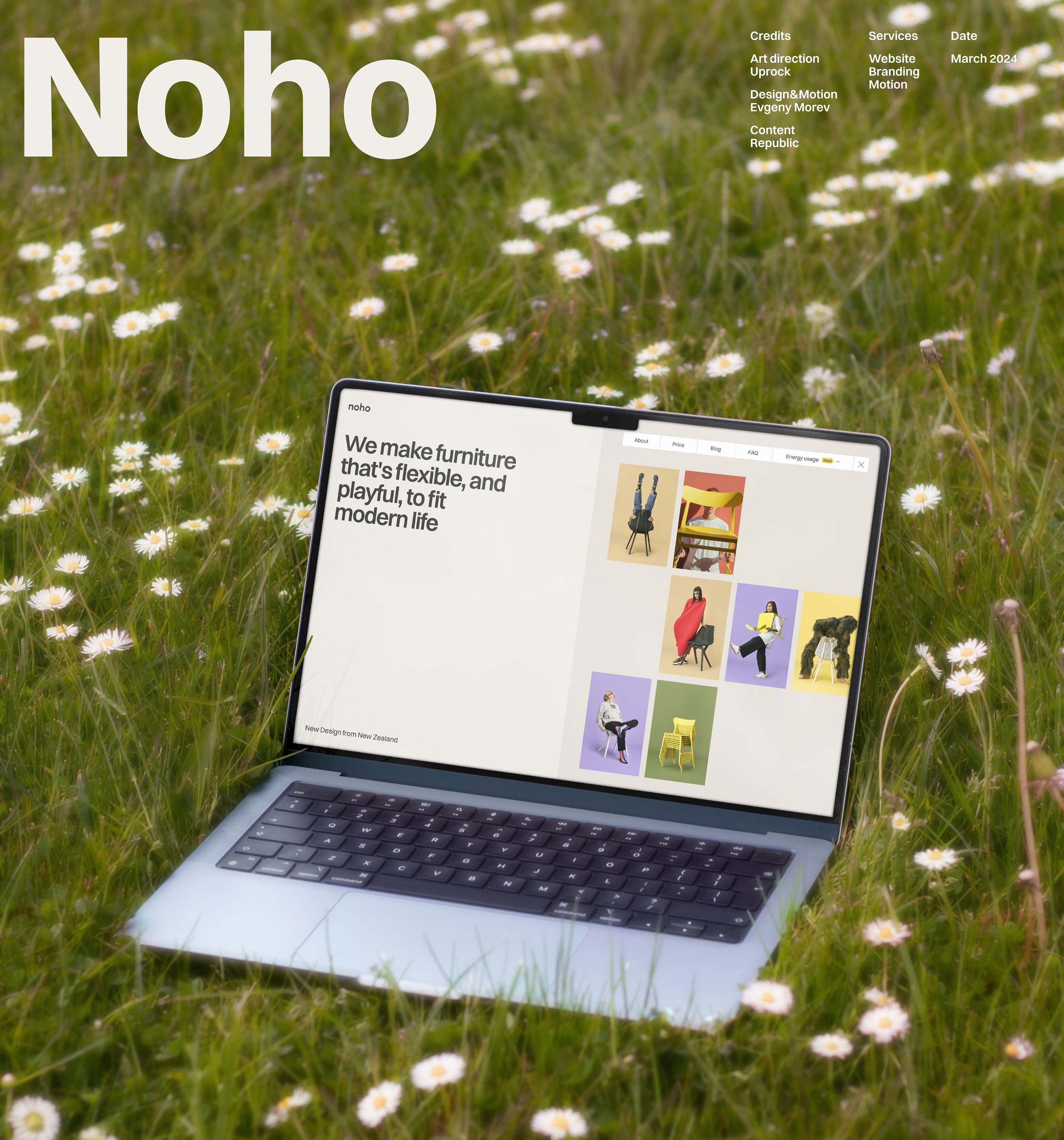 Noho.co website — Изображение №1 — Интерфейсы, Анимация на Dprofile