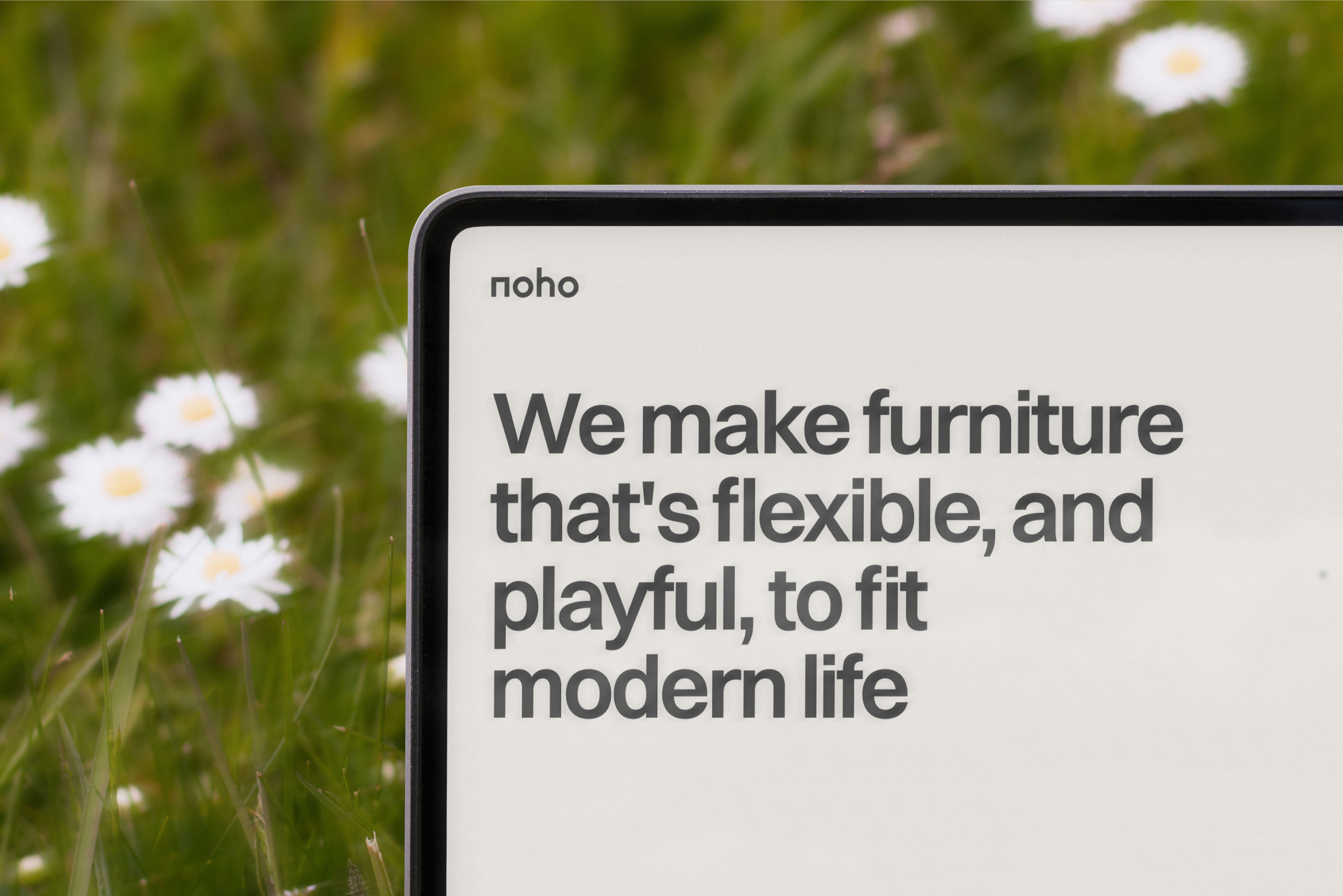 Noho.co website — Изображение №5 — Интерфейсы, Анимация на Dprofile