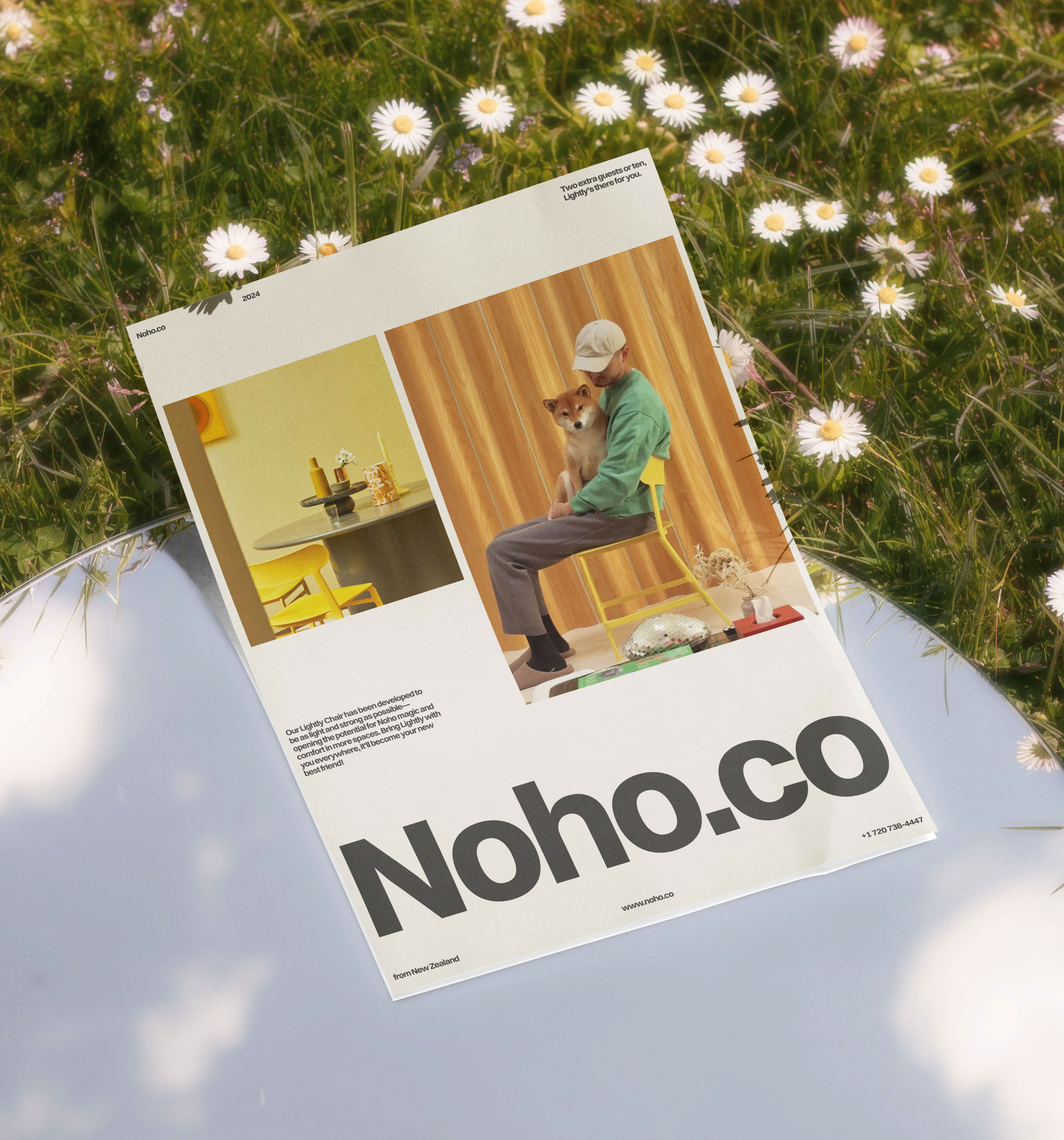 Noho.co website — Изображение №19 — Интерфейсы, Анимация на Dprofile