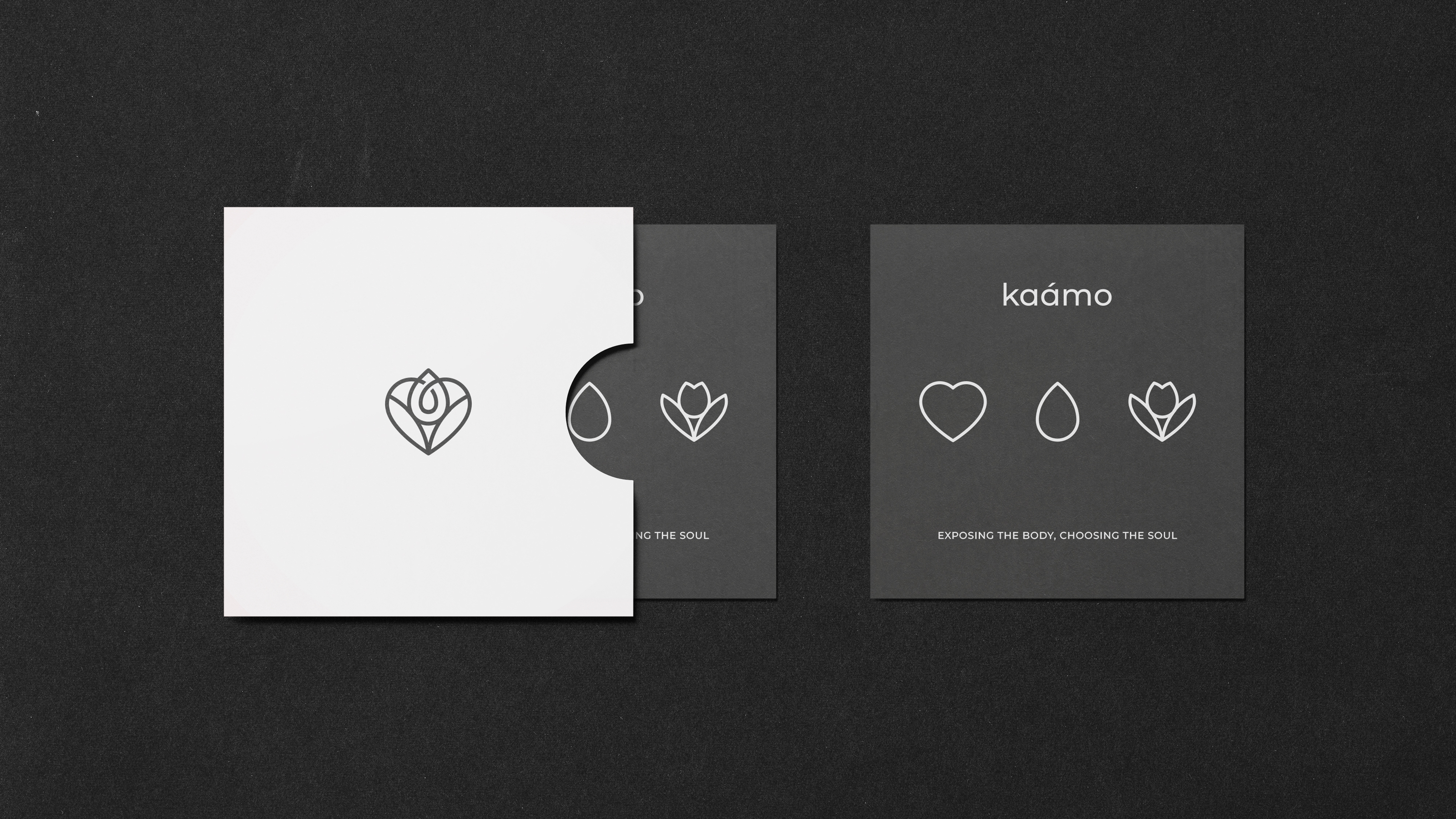 Kaamo — Косметика для ухода за кожей — Изображение №9 — Брендинг на Dprofile