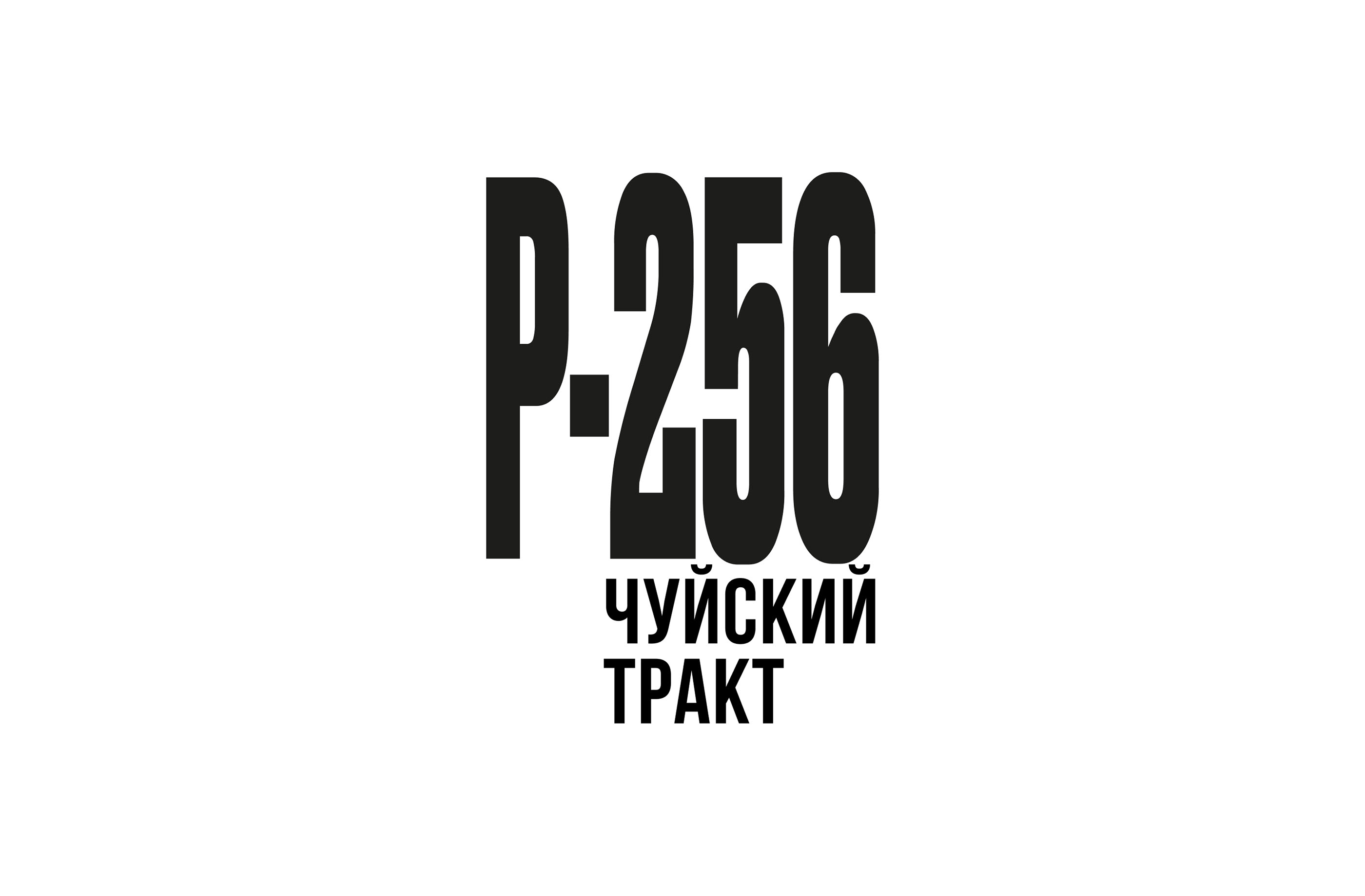 P-256 — Изображение №1 — Брендинг, Графика на Dprofile