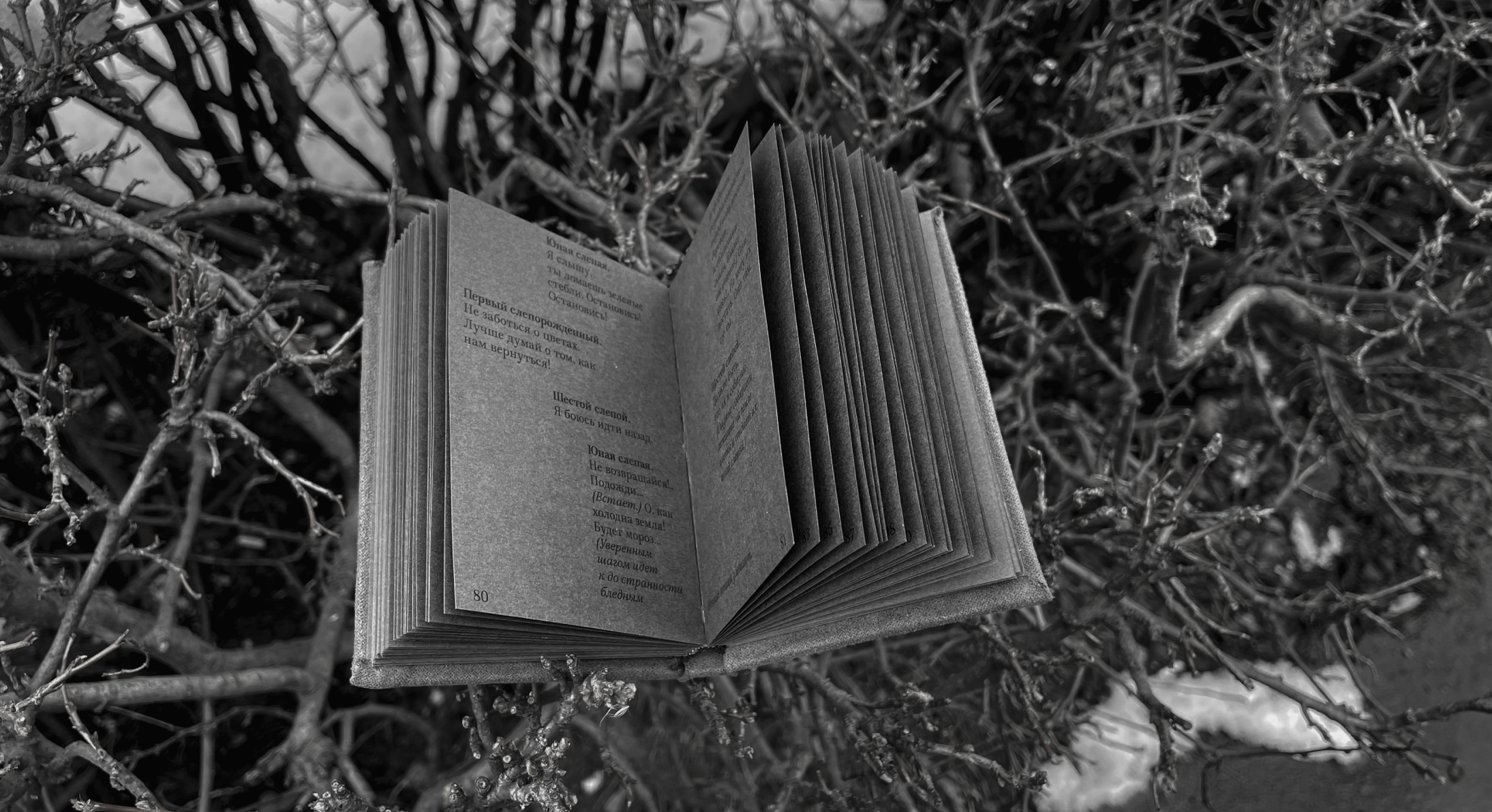 Слепые. Морис Метерлинк — Изображение №15 — Графика на Dprofile