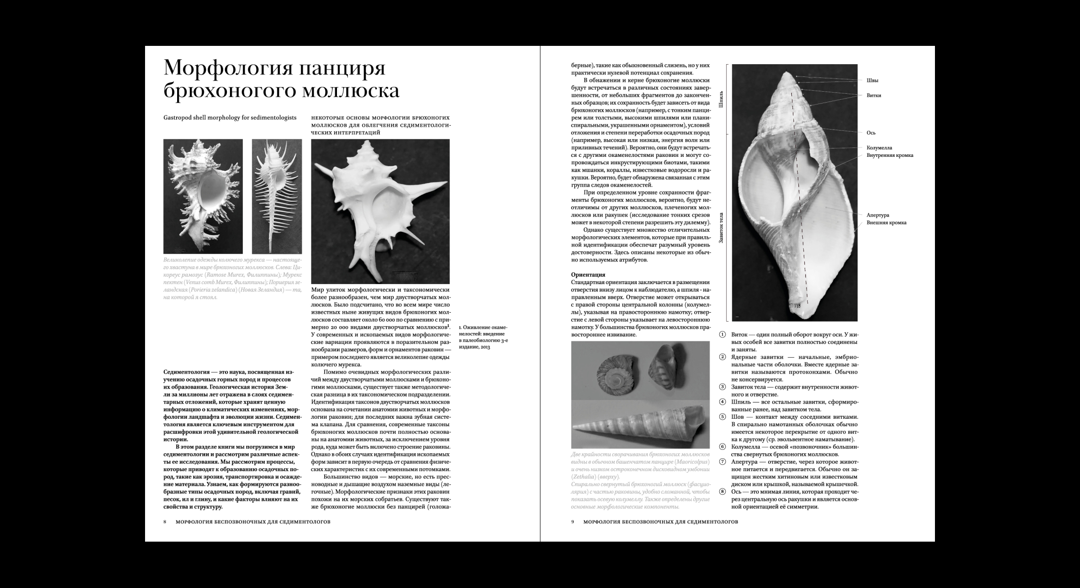 Geological Digressions. Editorial design — Изображение №3 — Графика на Dprofile