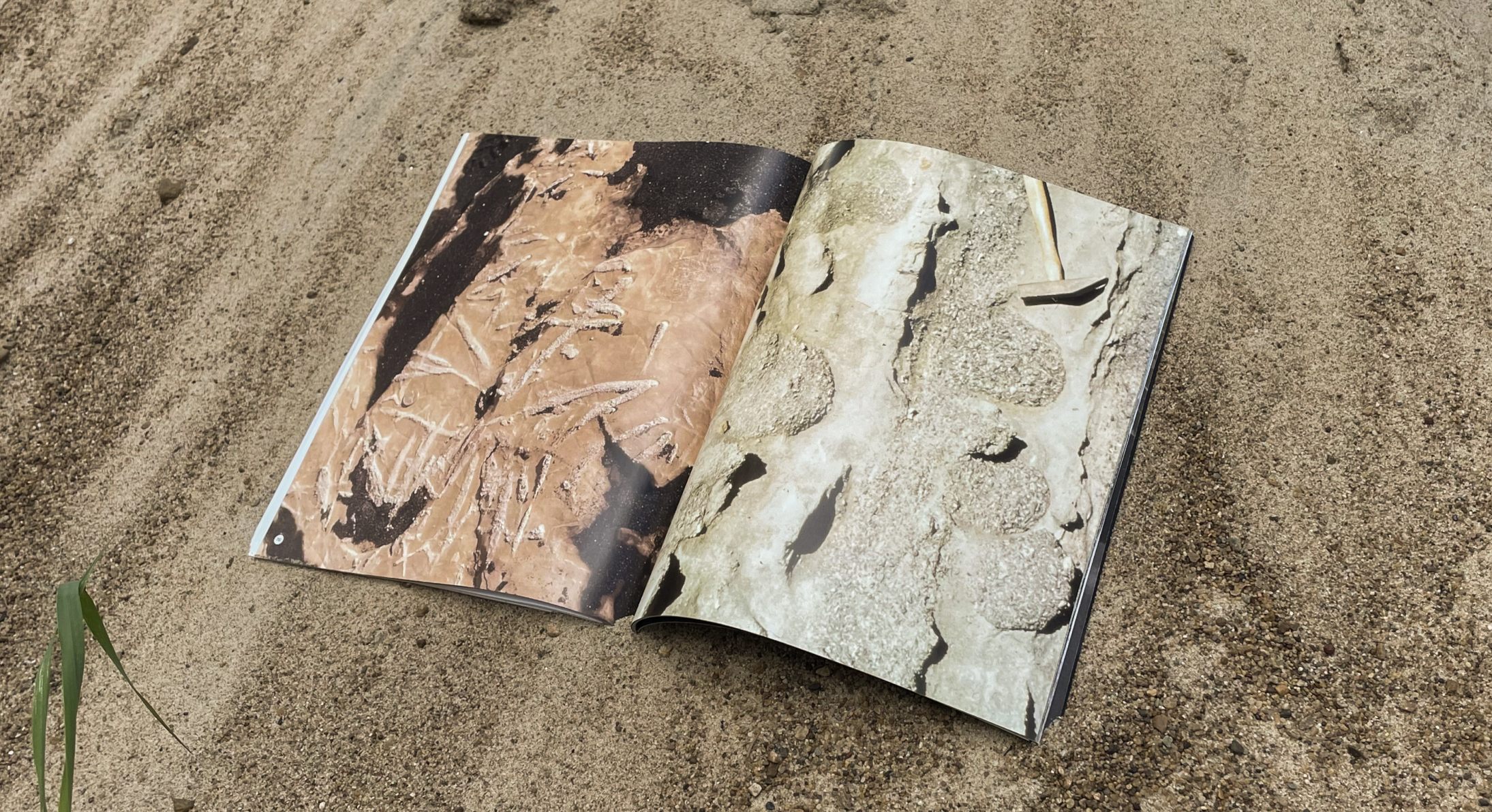 Geological Digressions. Editorial design — Изображение №25 — Графика на Dprofile