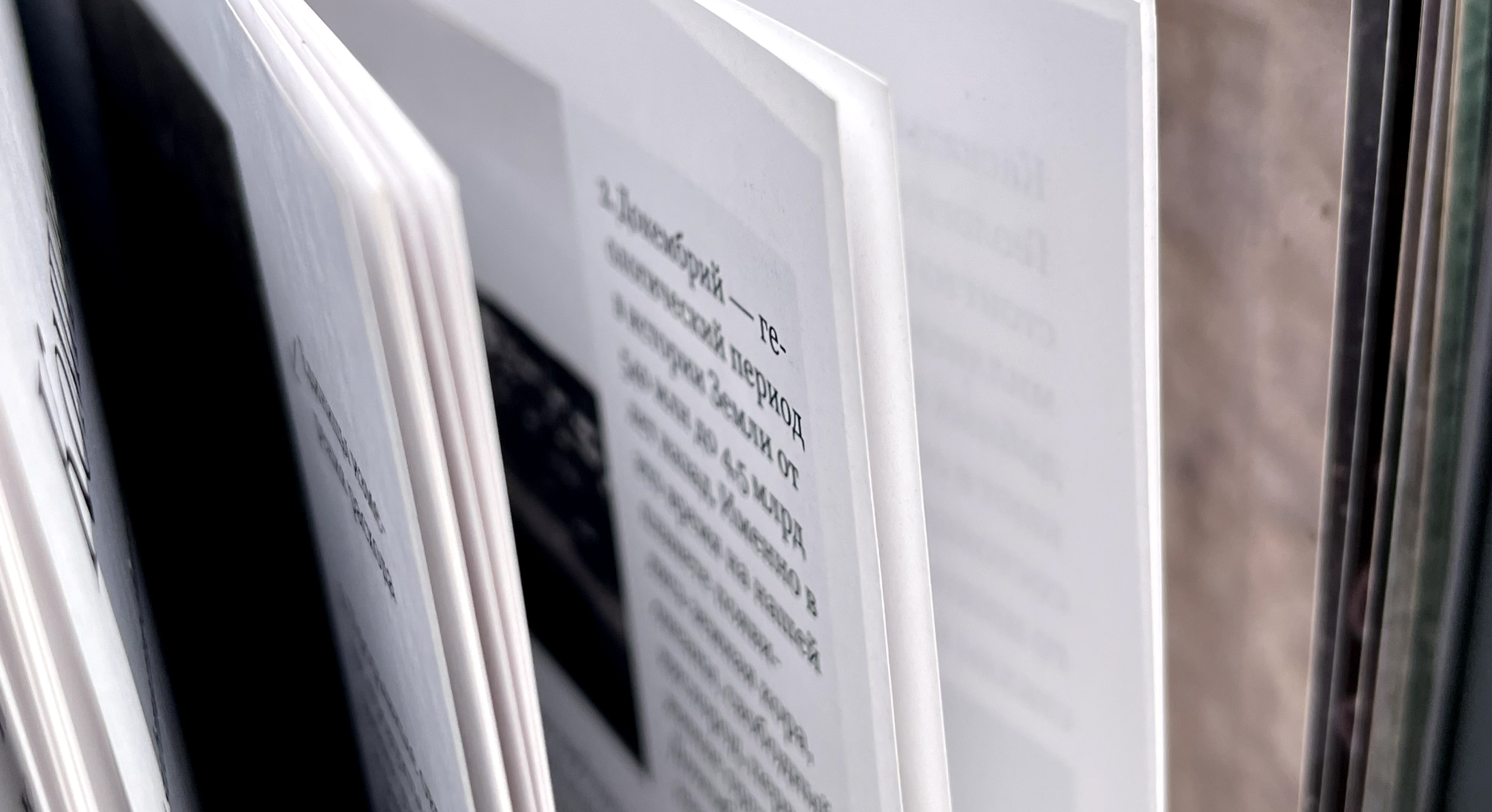 Geological Digressions. Editorial design — Изображение №29 — Графика на Dprofile