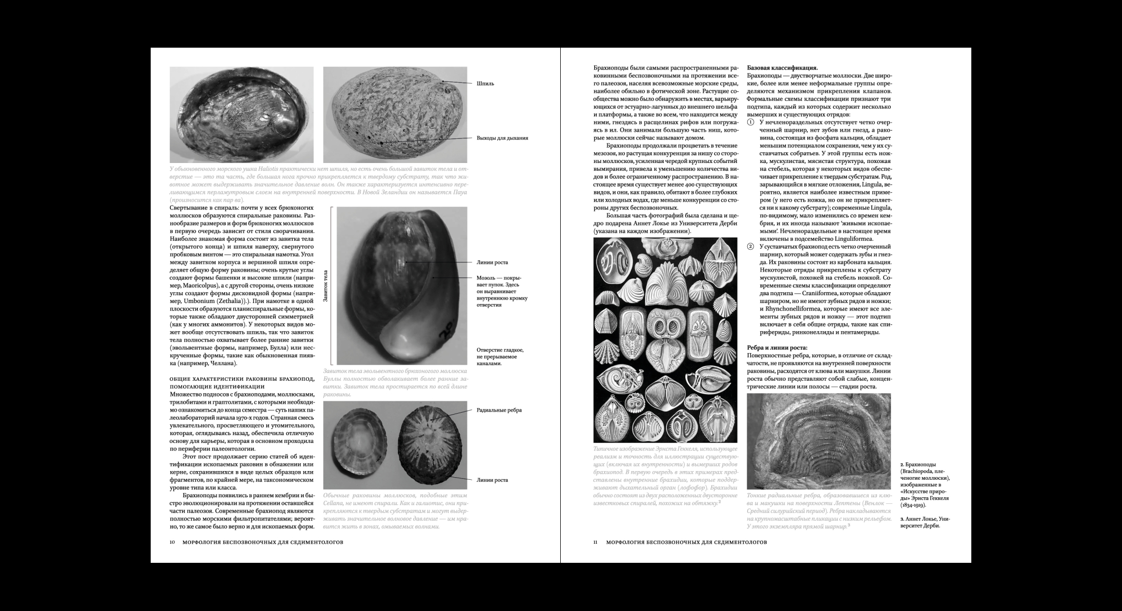 Geological Digressions. Editorial design — Изображение №16 — Графика на Dprofile