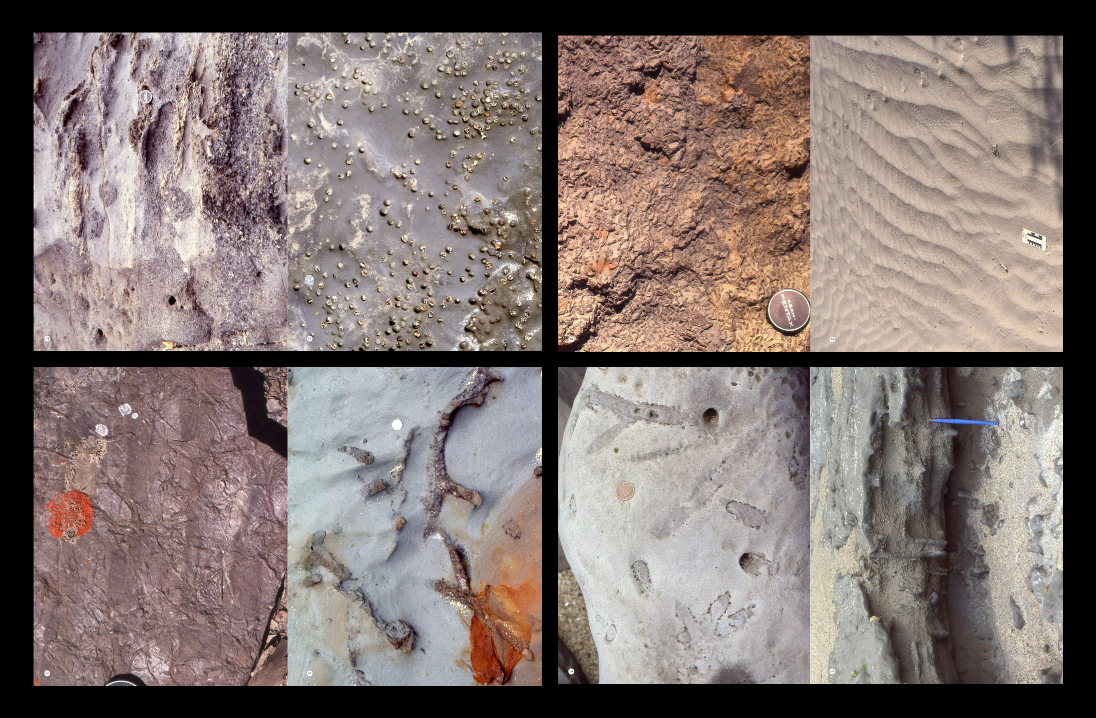 Geological Digressions. Editorial design — Изображение №24 — Графика на Dprofile