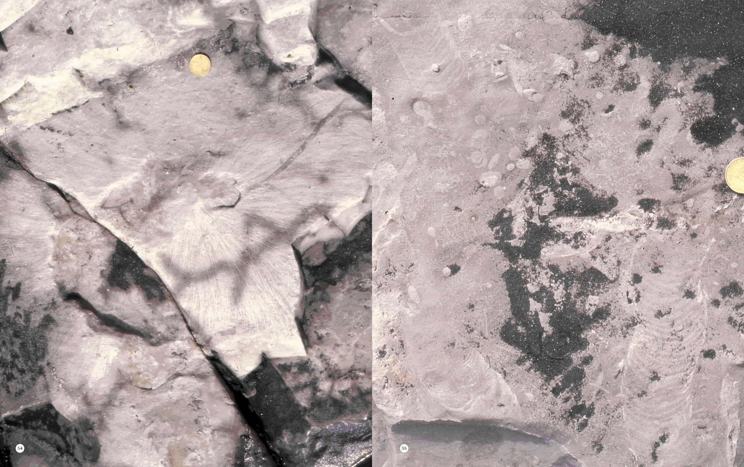 Geological Digressions. Editorial design — Изображение №22 — Графика на Dprofile