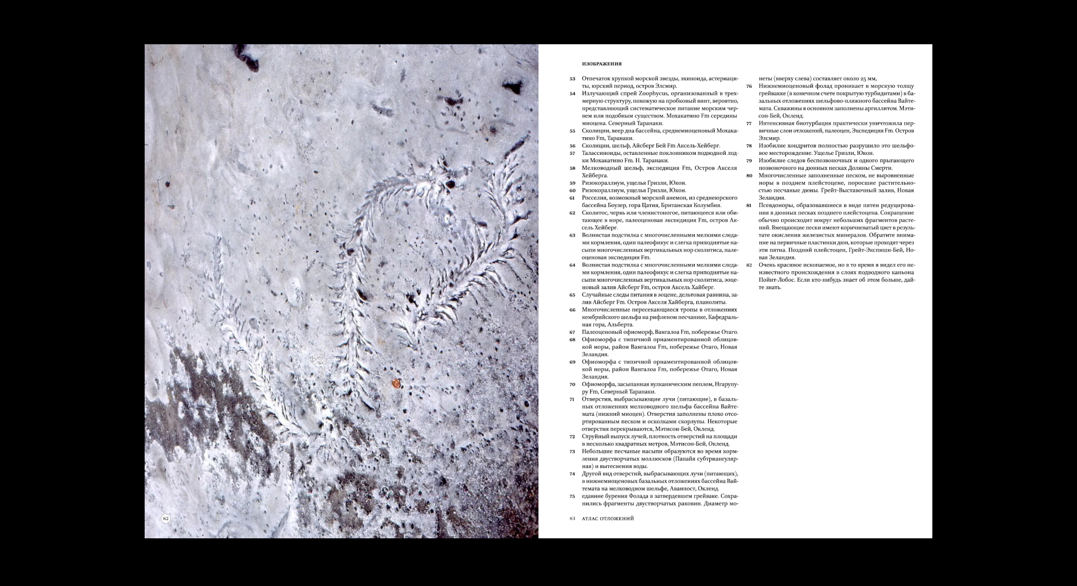 Geological Digressions. Editorial design — Изображение №27 — Графика на Dprofile