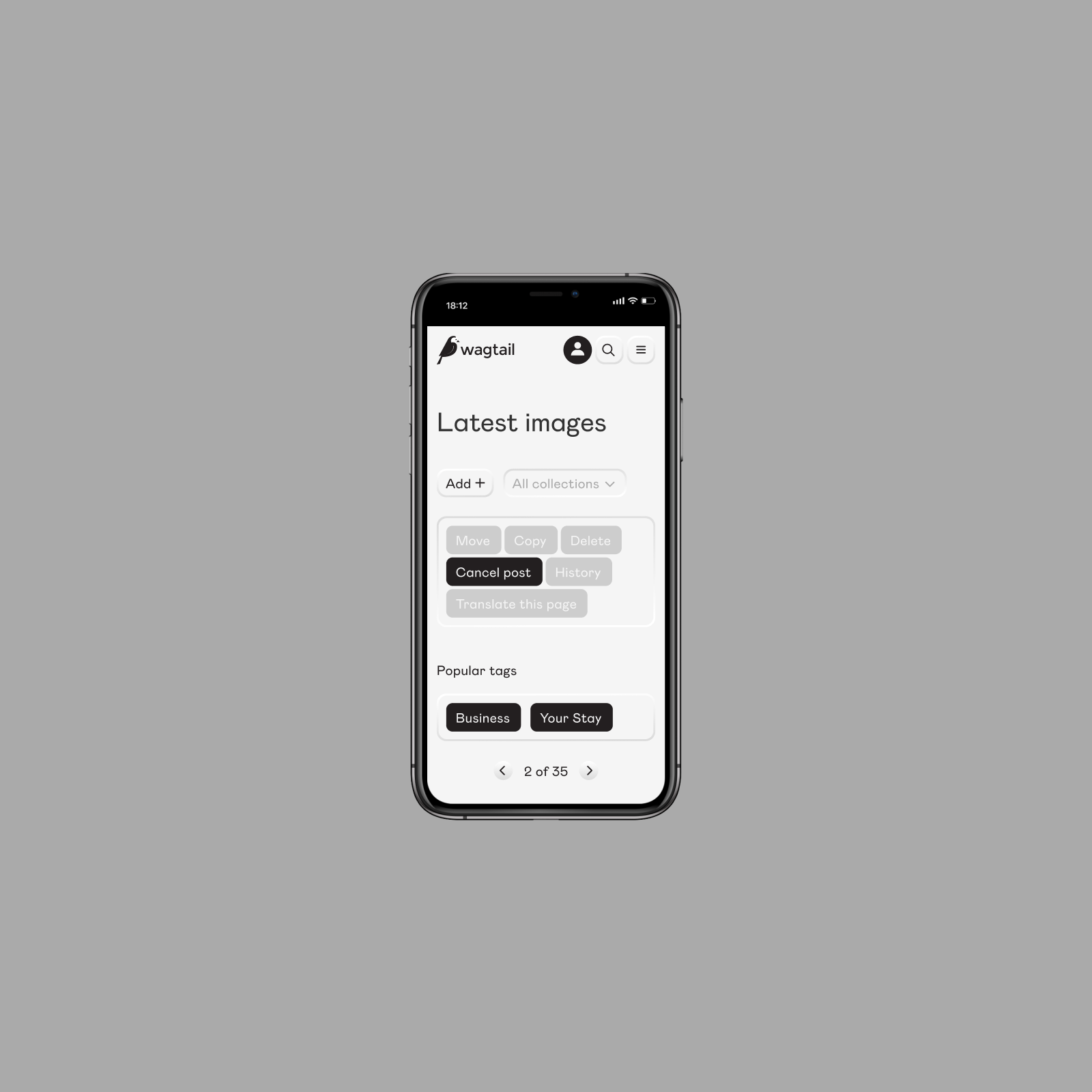 Design for Wagtail CMS — Изображение №10 — Интерфейсы, Брендинг на Dprofile