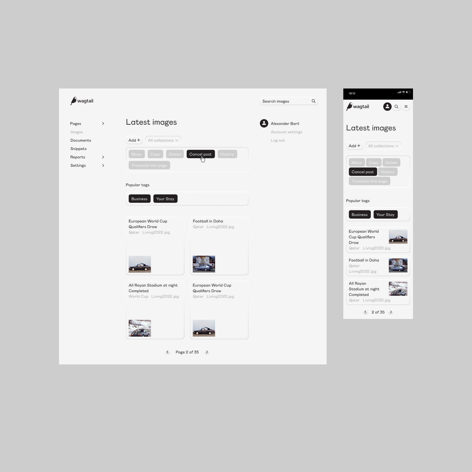 Design for Wagtail CMS — Изображение №11 — Интерфейсы, Брендинг на Dprofile