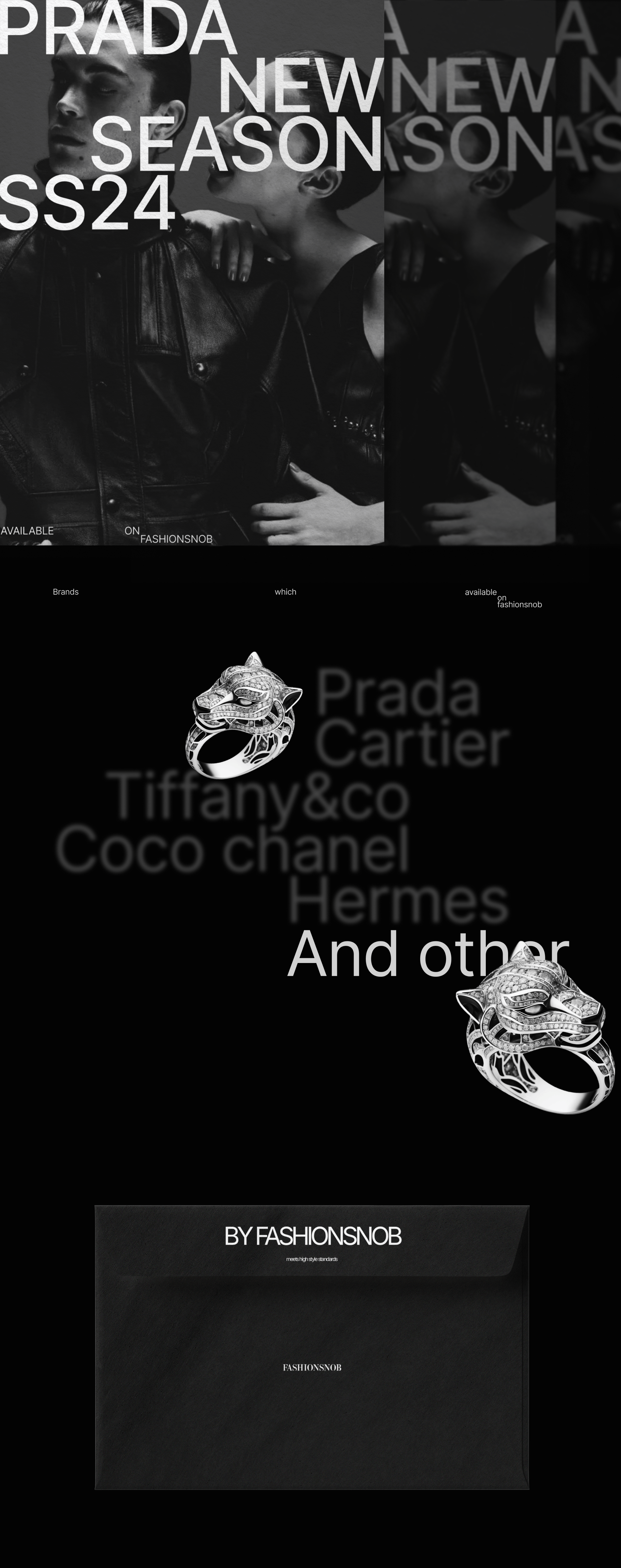 Fashionsnob. Identity design — Изображение №3 — Брендинг на Dprofile