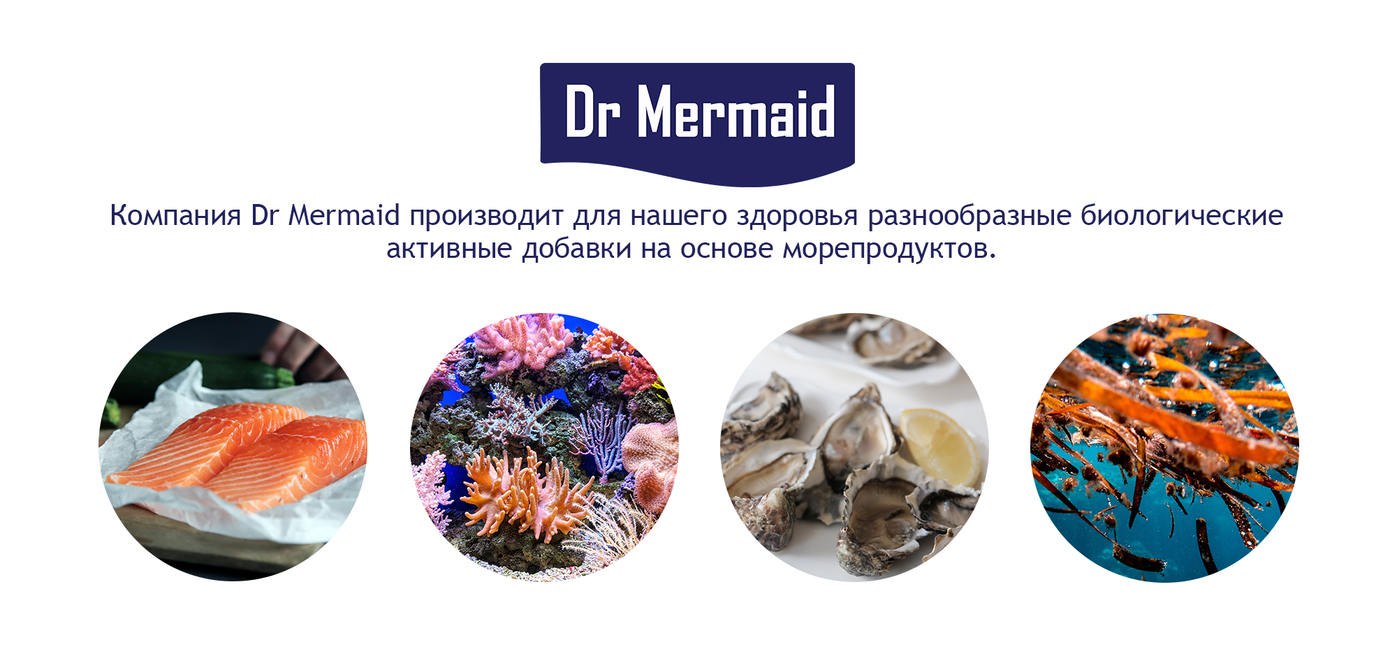Разработка персонажей. Дизайн упаковки для БАДов — Изображение №2 — Брендинг, Иллюстрация на Dprofile