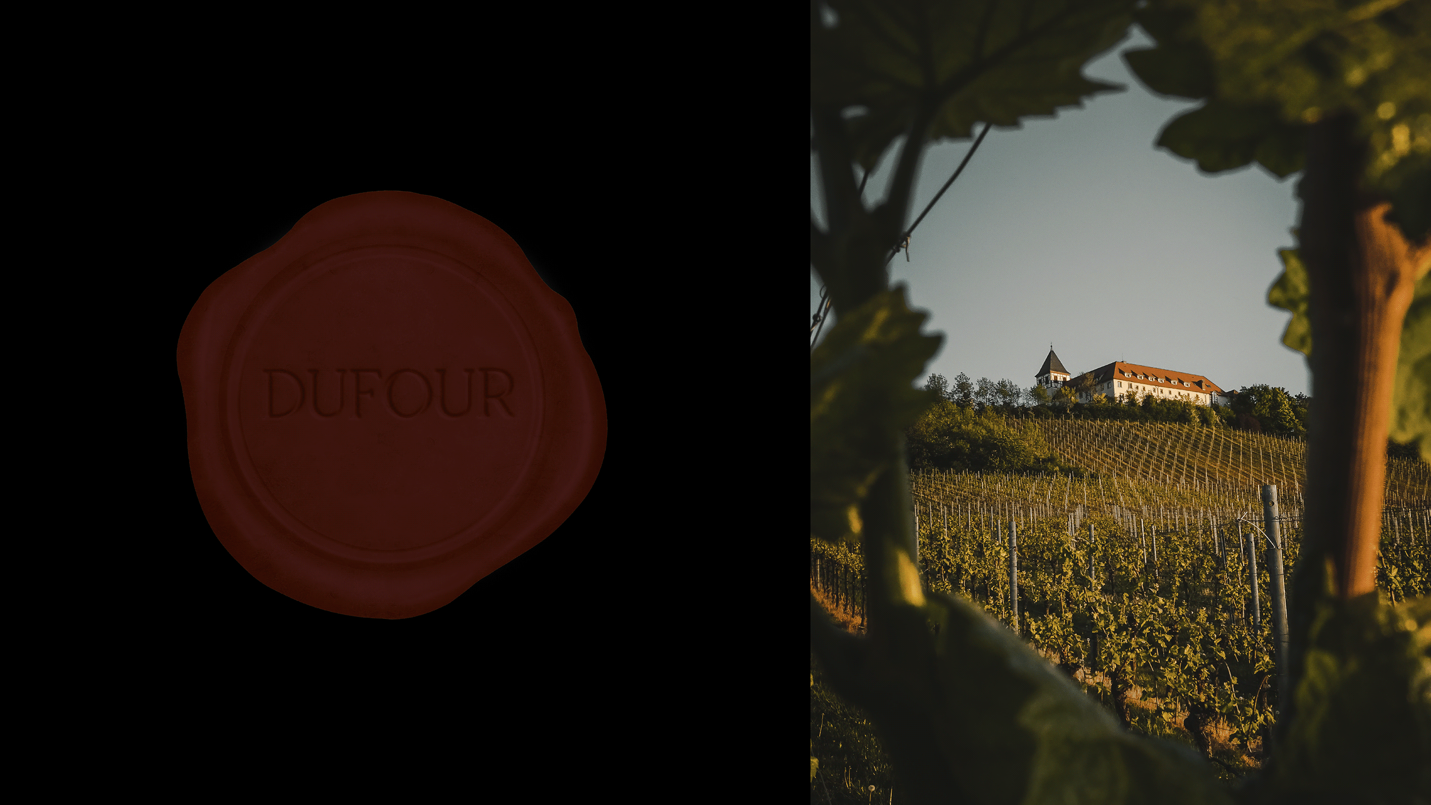 DUFOUR | WINE | FRENCH VINEYARD — Изображение №12 — Брендинг, Графика на Dprofile
