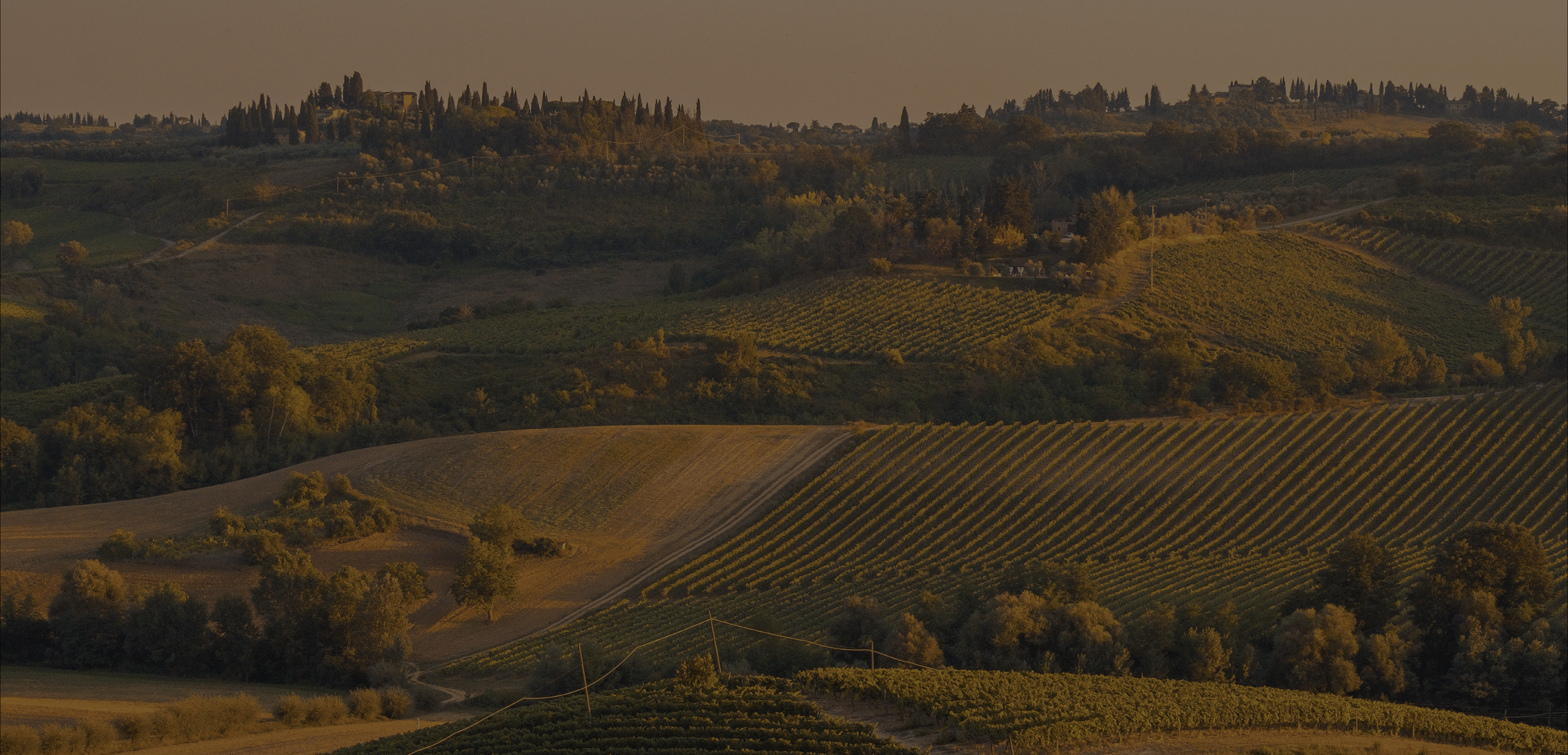 DUFOUR | WINE | FRENCH VINEYARD — Изображение №13 — Брендинг, Графика на Dprofile