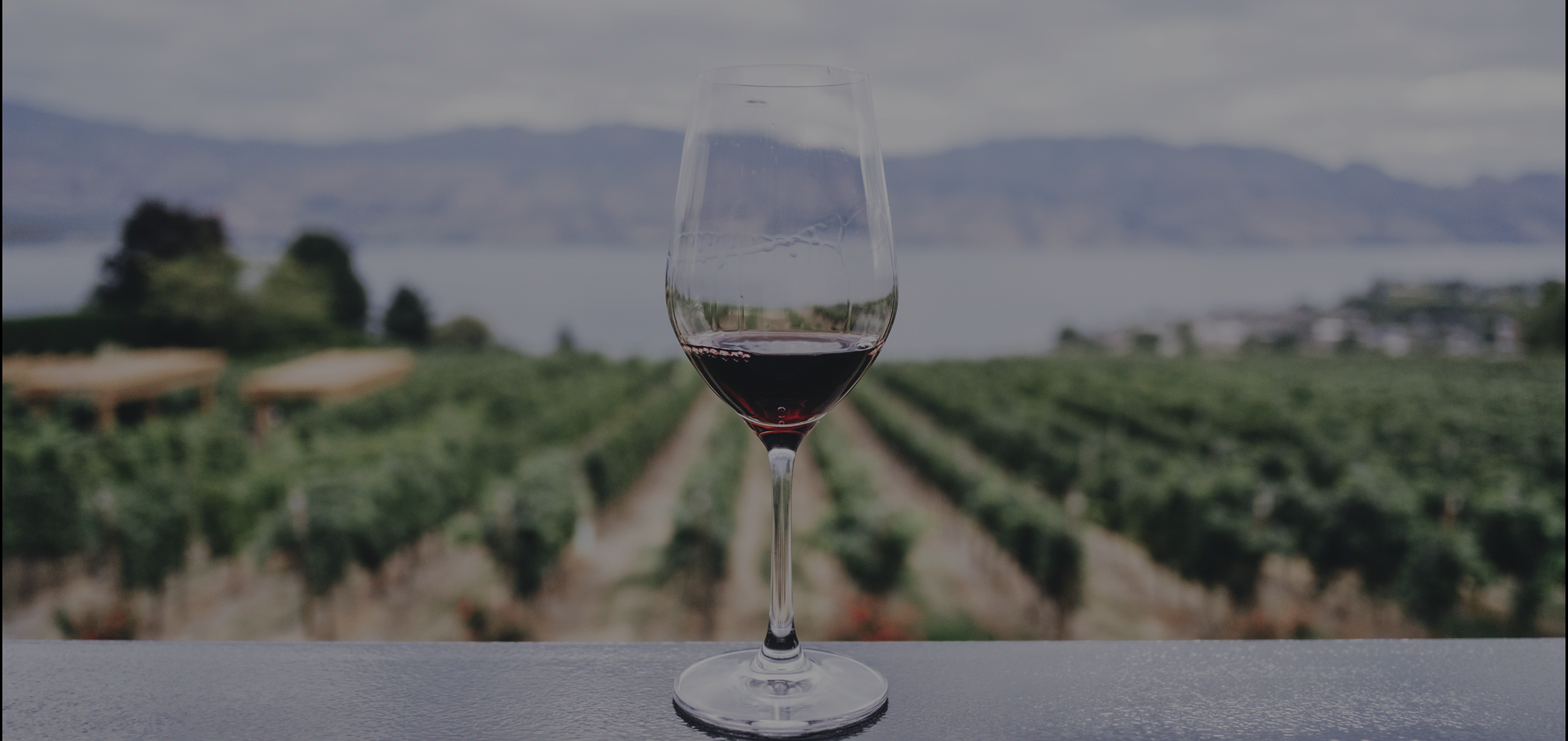 DUFOUR | WINE | FRENCH VINEYARD — Изображение №3 — Брендинг, Графика на Dprofile