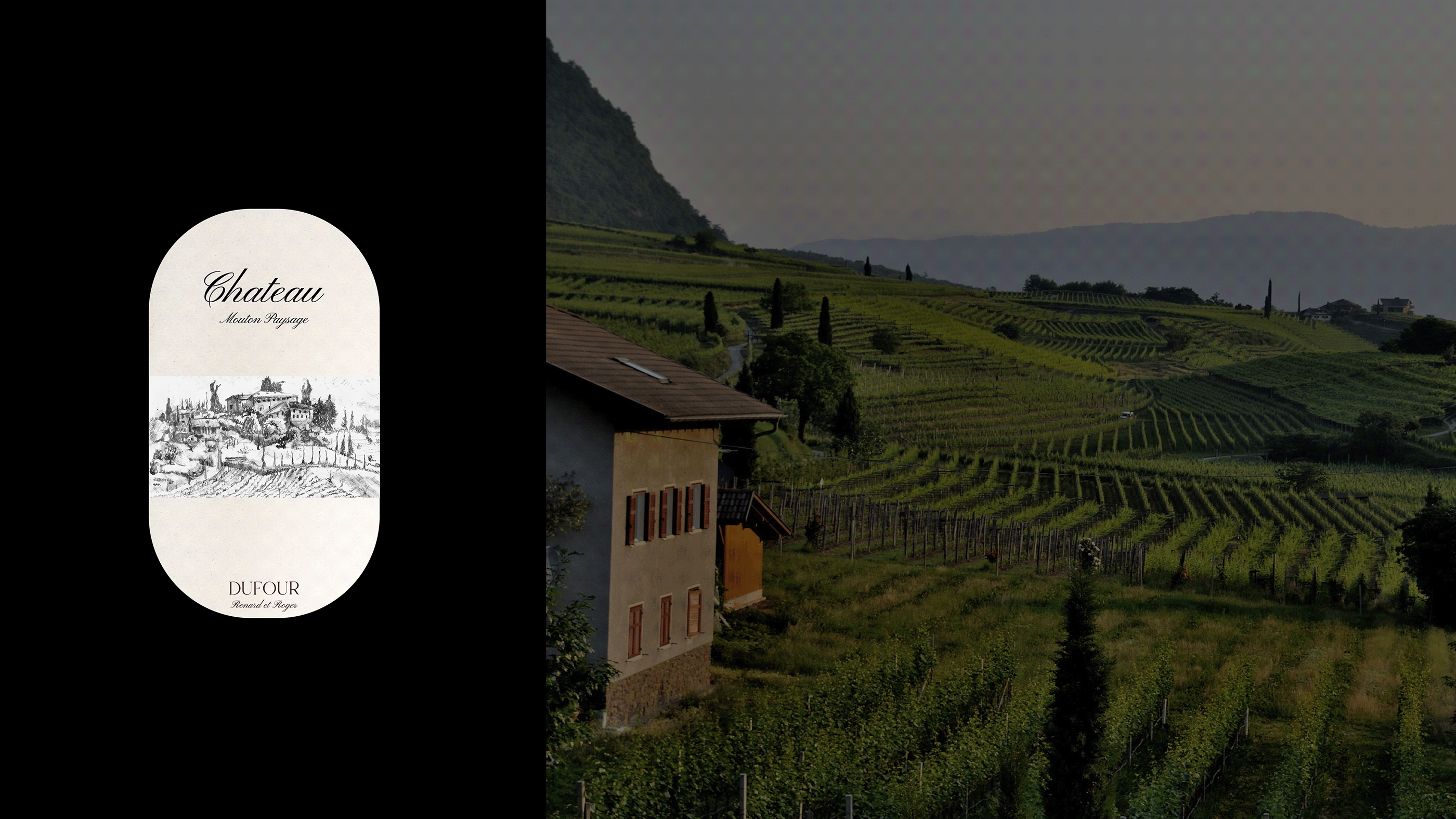 DUFOUR | WINE | FRENCH VINEYARD — Изображение №6 — Брендинг, Графика на Dprofile