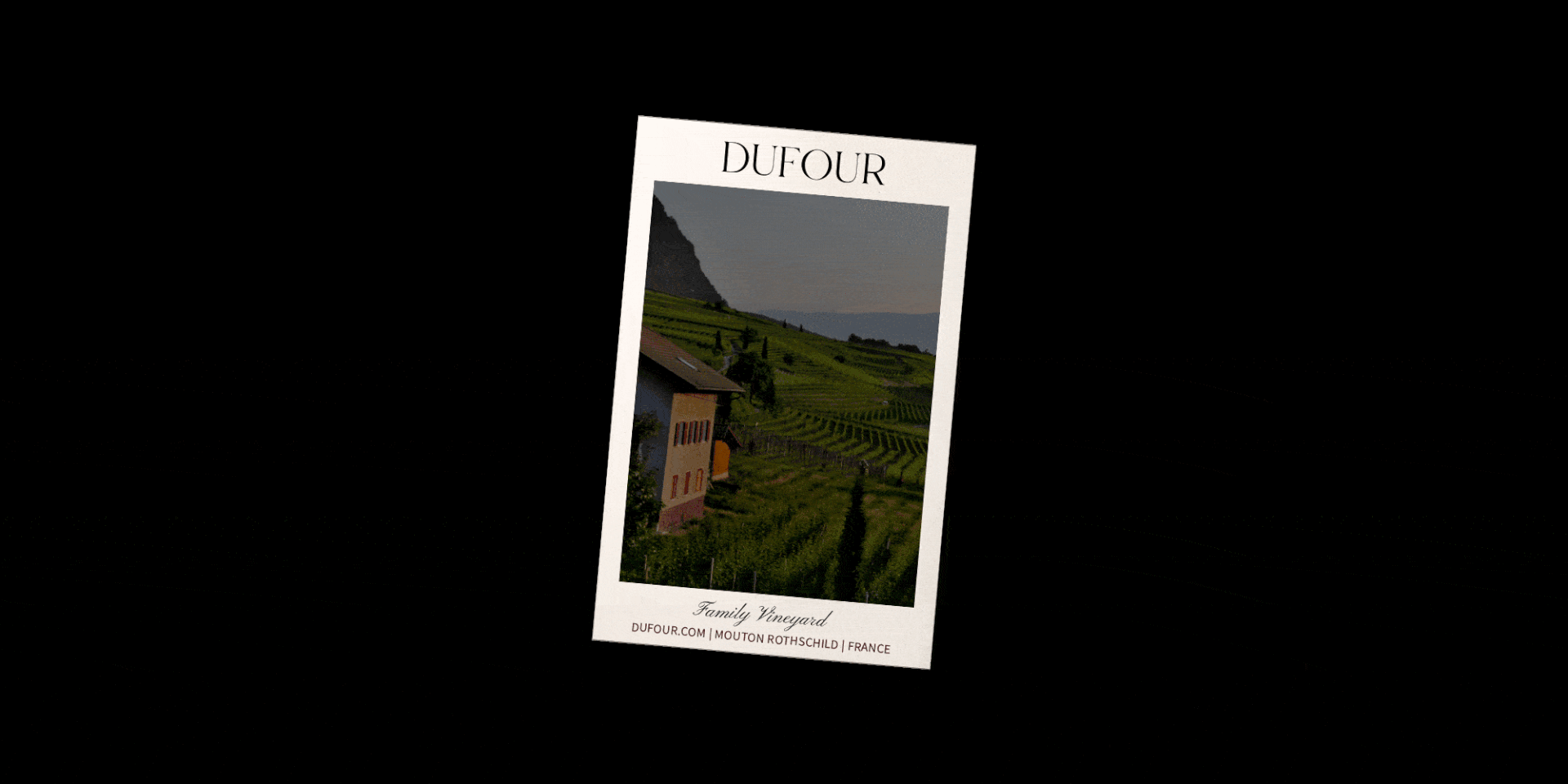 DUFOUR | WINE | FRENCH VINEYARD — Изображение №11 — Брендинг, Графика на Dprofile