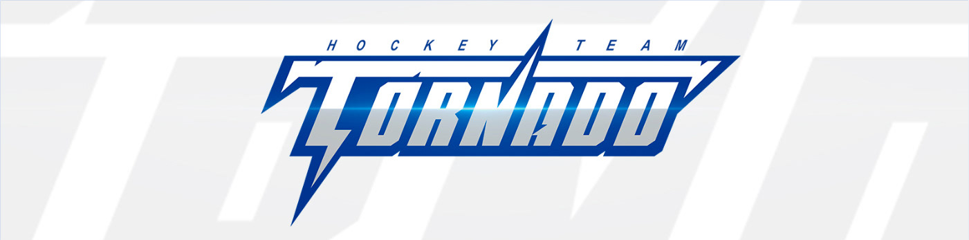 TORNADO LOGO — Изображение №8 — Брендинг на Dprofile