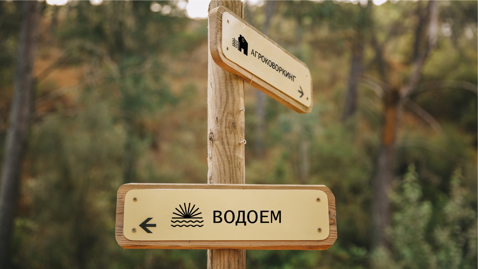 Фирменный стиль для агроковоркинга — Изображение №12 — Брендинг на Dprofile