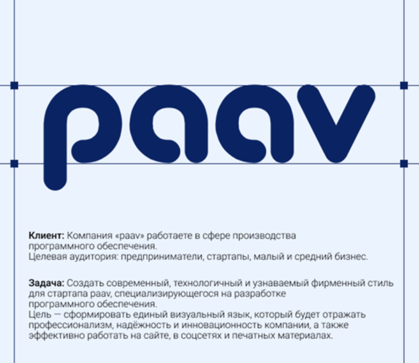 "paav" Software  Development — Изображение №1 — Брендинг, Графика на Dprofile