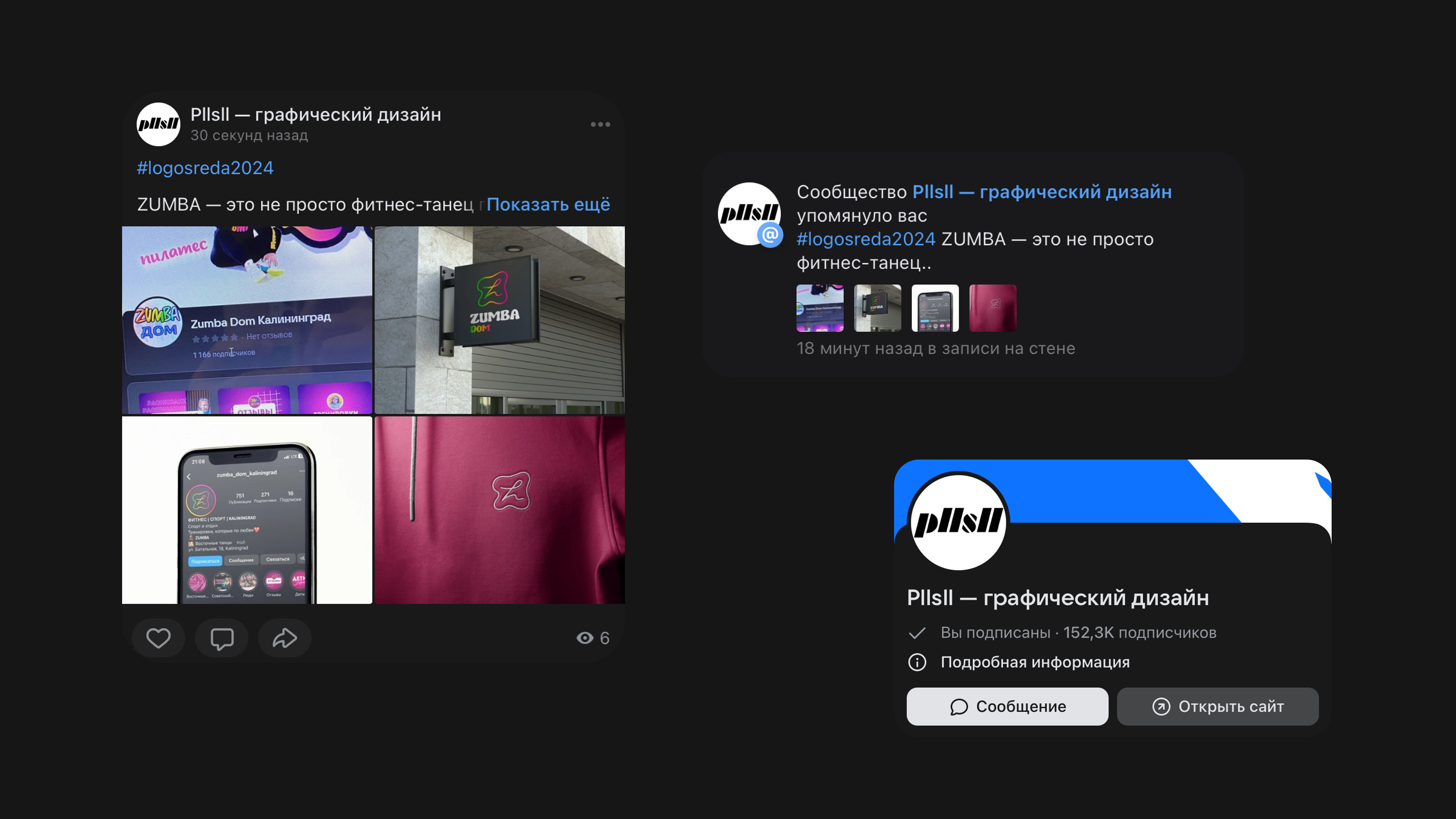 Логотип для фитнес-студии ZUMBA DOM — Изображение №19 — Брендинг, Графика на Dprofile