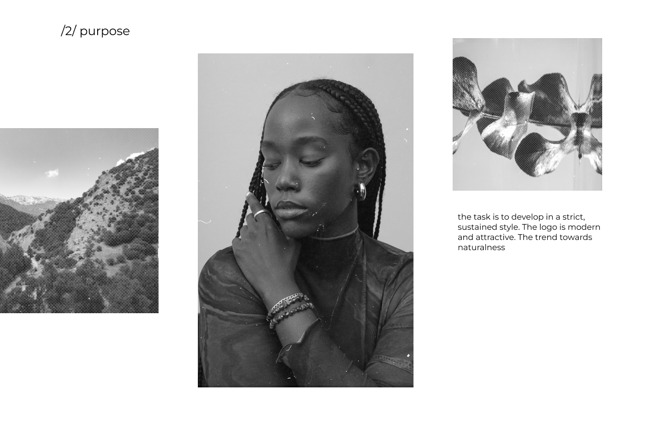 Pure beauty — Изображение №4 — Брендинг, Графика на Dprofile
