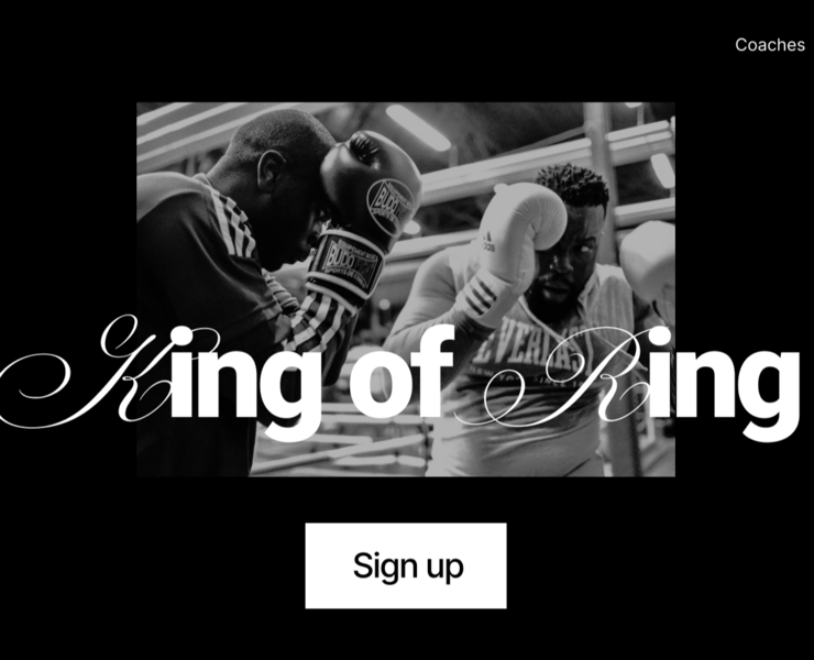 landing page concept. King of ring — Интерфейсы на Dprofile