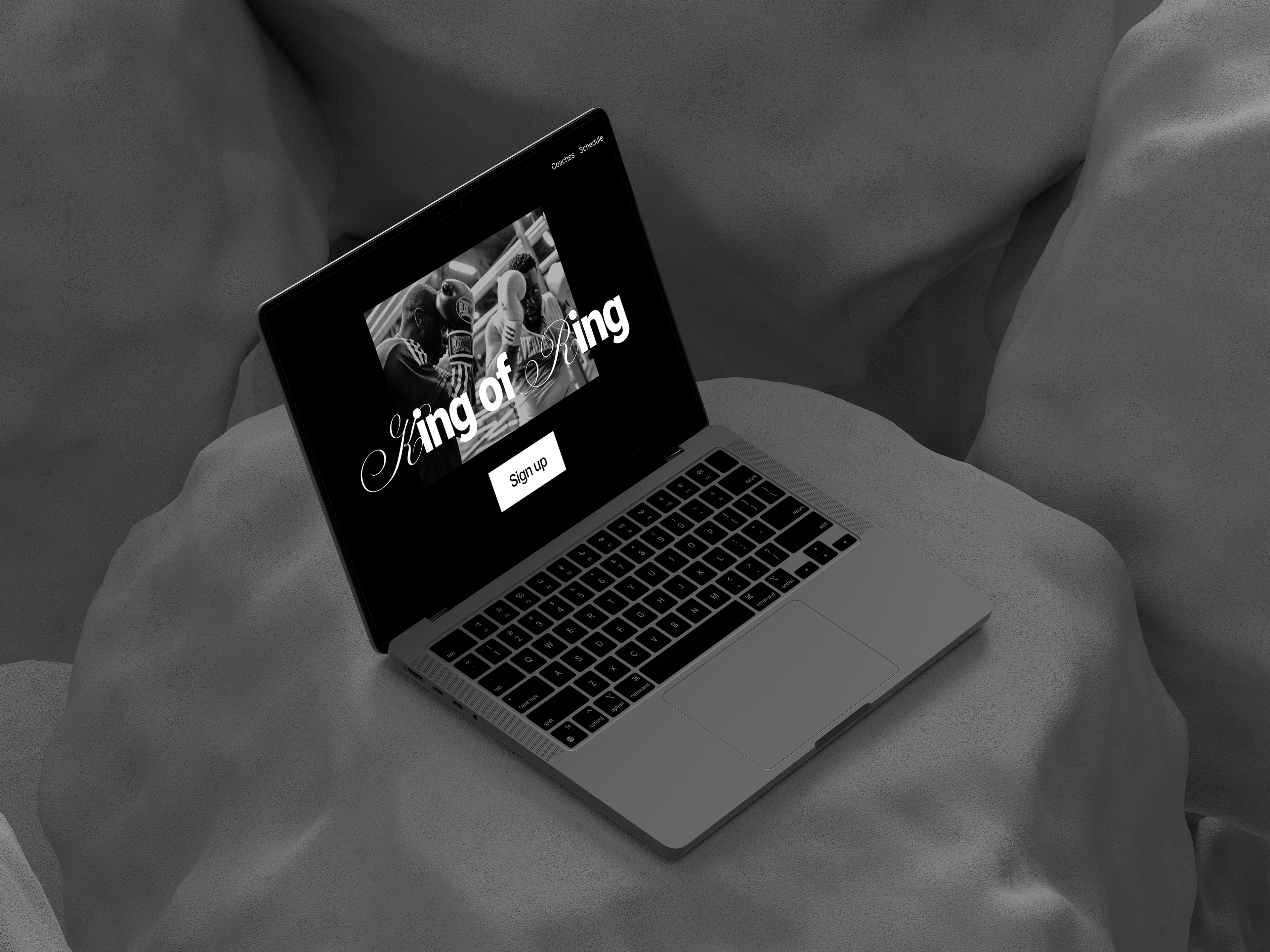 landing page concept. King of ring — Изображение №1 — Интерфейсы на Dprofile