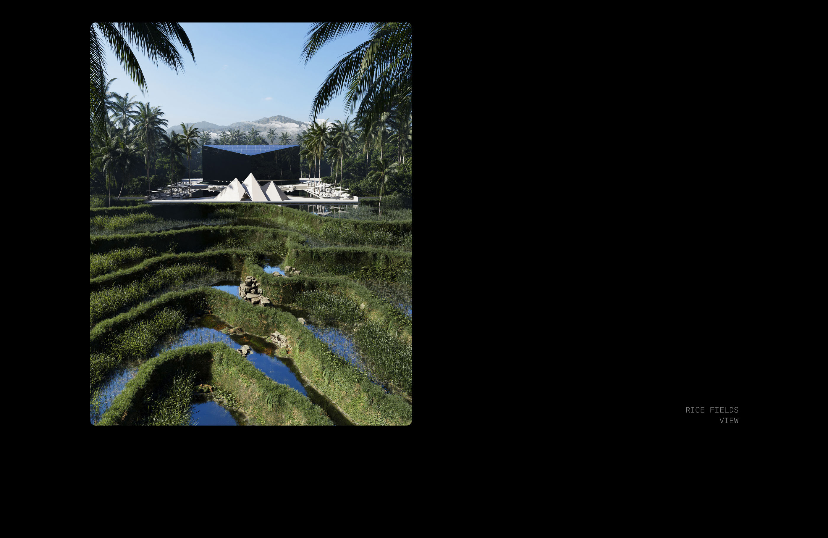 Bitcoin Temple® — Изображение №6 — Брендинг, 3D на Dprofile