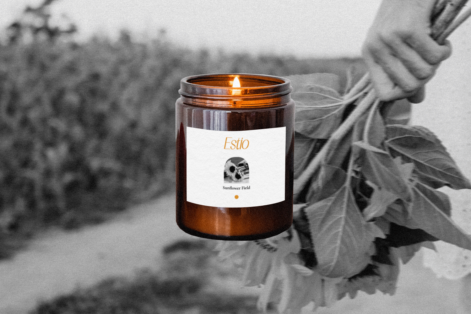 Estio | Brand Identity | Candles — Изображение №7 — Брендинг, Графика на Dprofile
