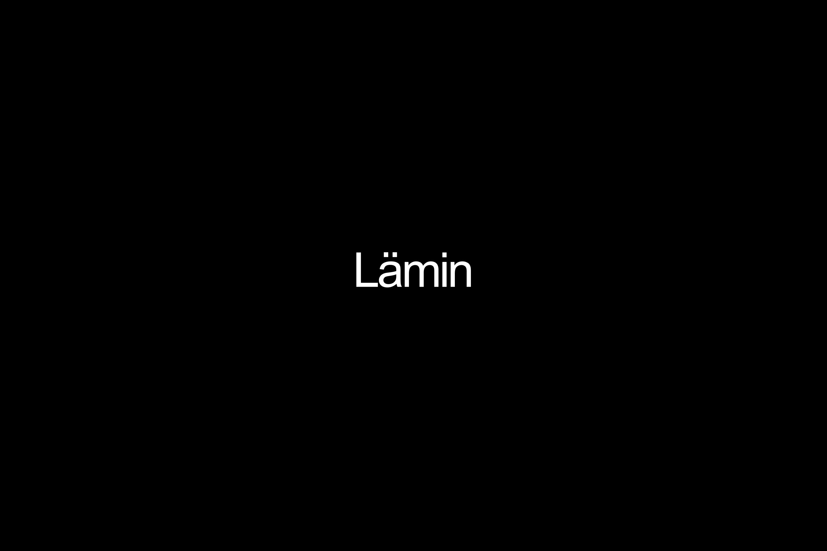 Lämin — Изображение №1 — Брендинг, Графика на Dprofile