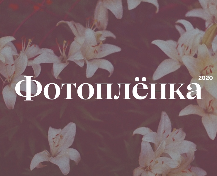 Фотоплёнка | 2025 на Dprofile