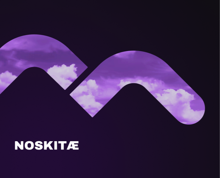 Noskitæ Logo Design — Брендинг на Dprofile