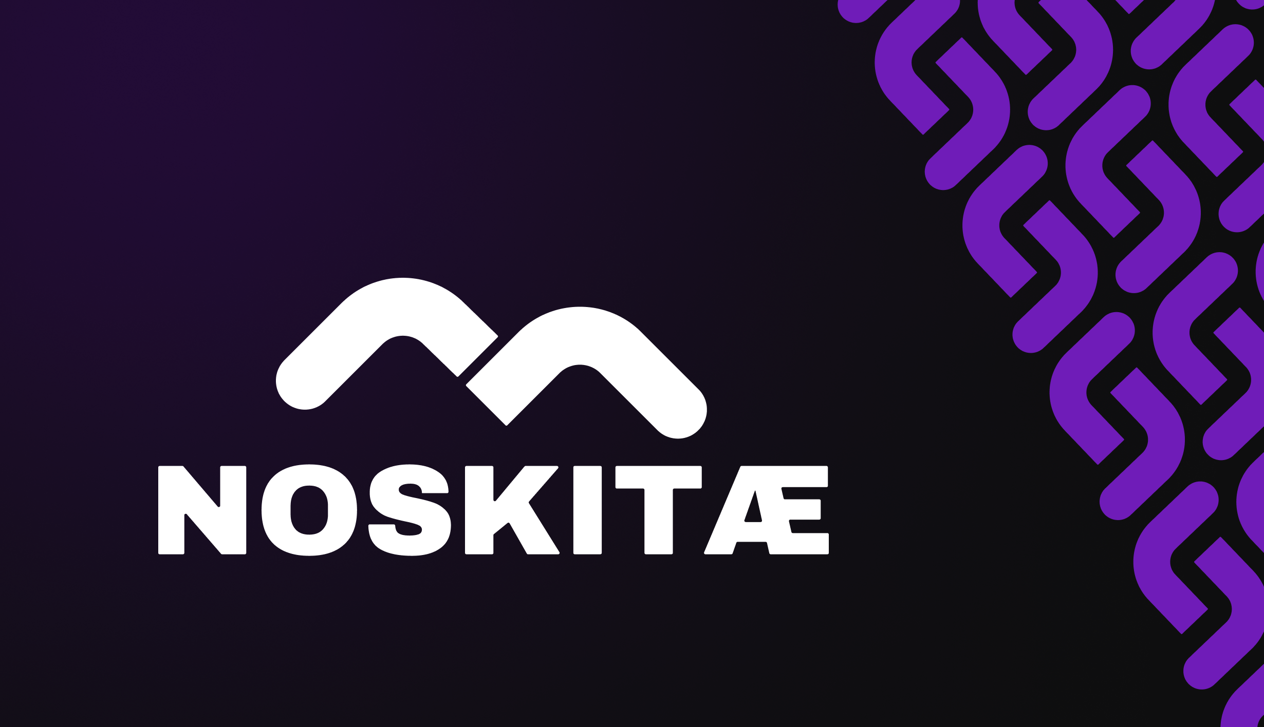 Noskitæ Logo Design — Изображение №1 — Брендинг на Dprofile
