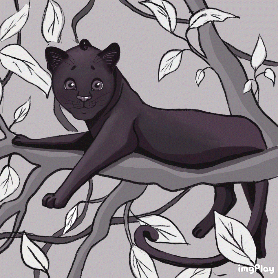 Иллюстрации для детских пазлов 4 в 1 "Дикие кошки" — Изображение №5 — Иллюстрация, Графика на Dprofile