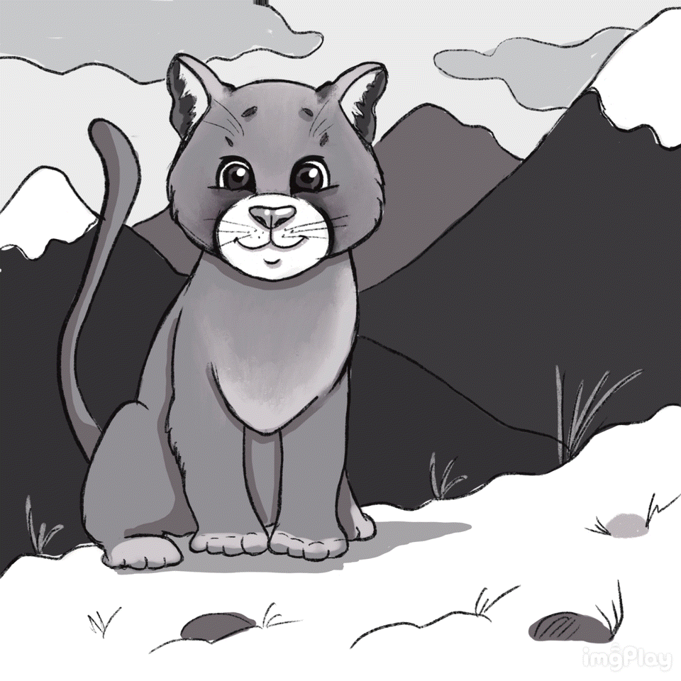 Иллюстрации для детских пазлов 4 в 1 "Дикие кошки" — Изображение №4 — Иллюстрация, Графика на Dprofile